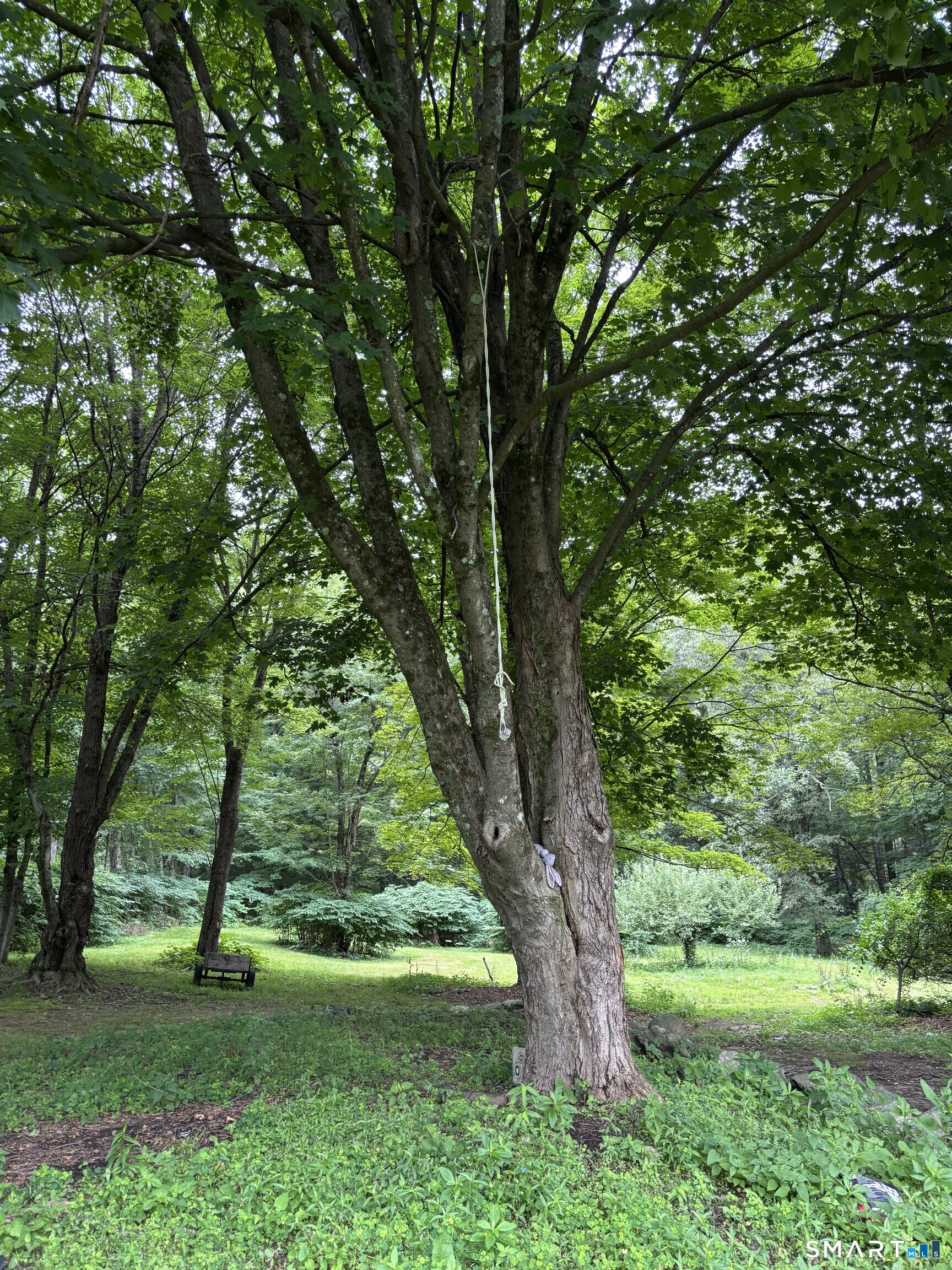 image of property