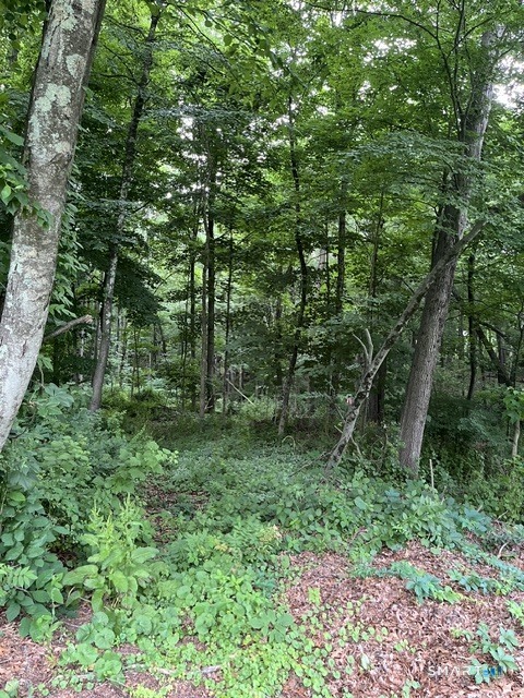 Homes for sale in Danbury, CT | 22 1/2 Country Ridge Rd, Danbury, CT 06811 | MLS# 24184409