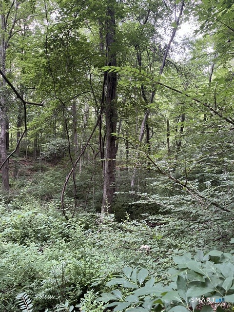 Homes for sale in Danbury, CT | 22 1/2 Country Ridge Rd, Danbury, CT 06811 | MLS# 24184409