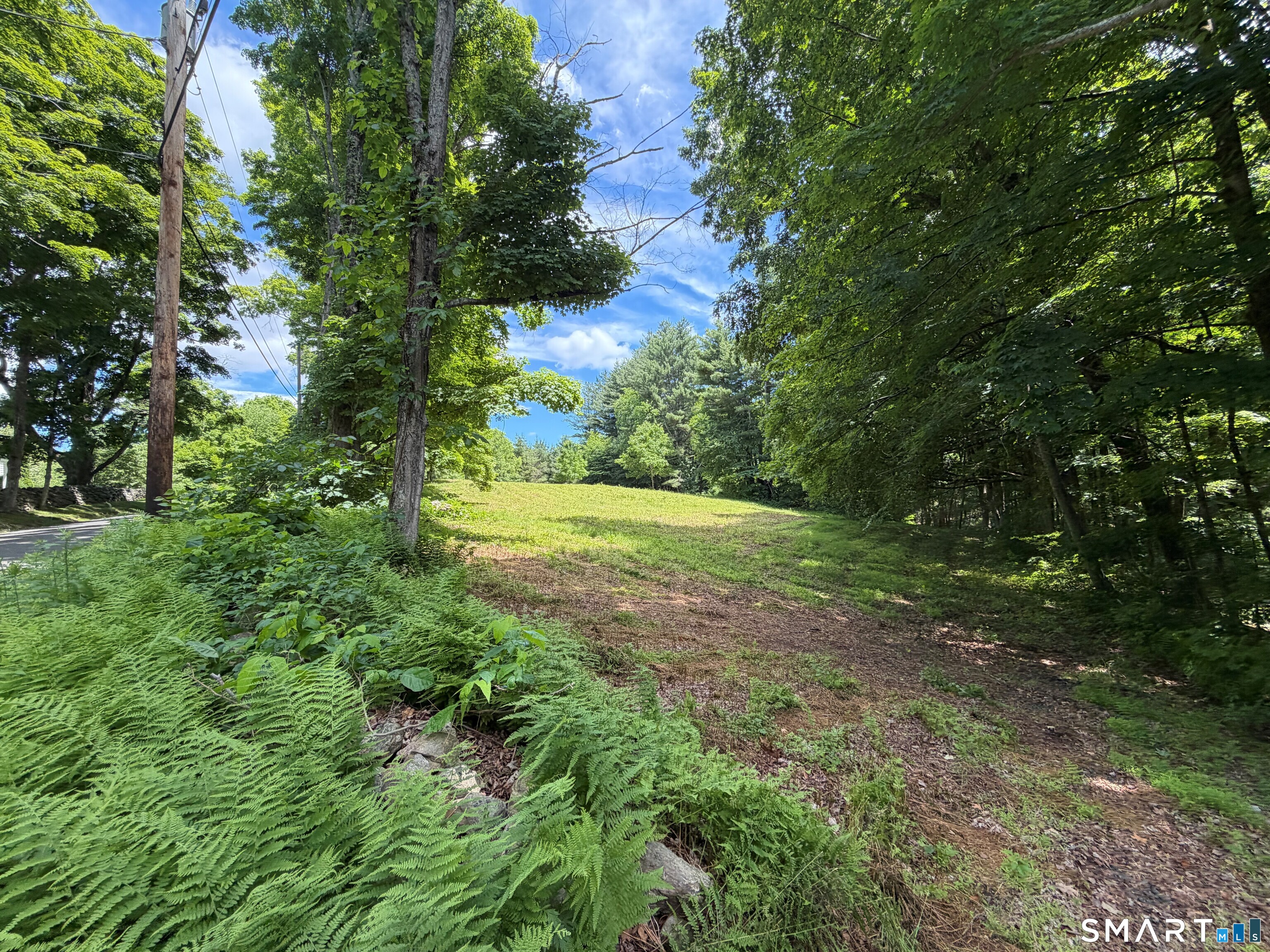 Homes for sale in Woodbury, CT | 133 Painter Hill Rd, Woodbury, CT 06798 | MLS# 24187054