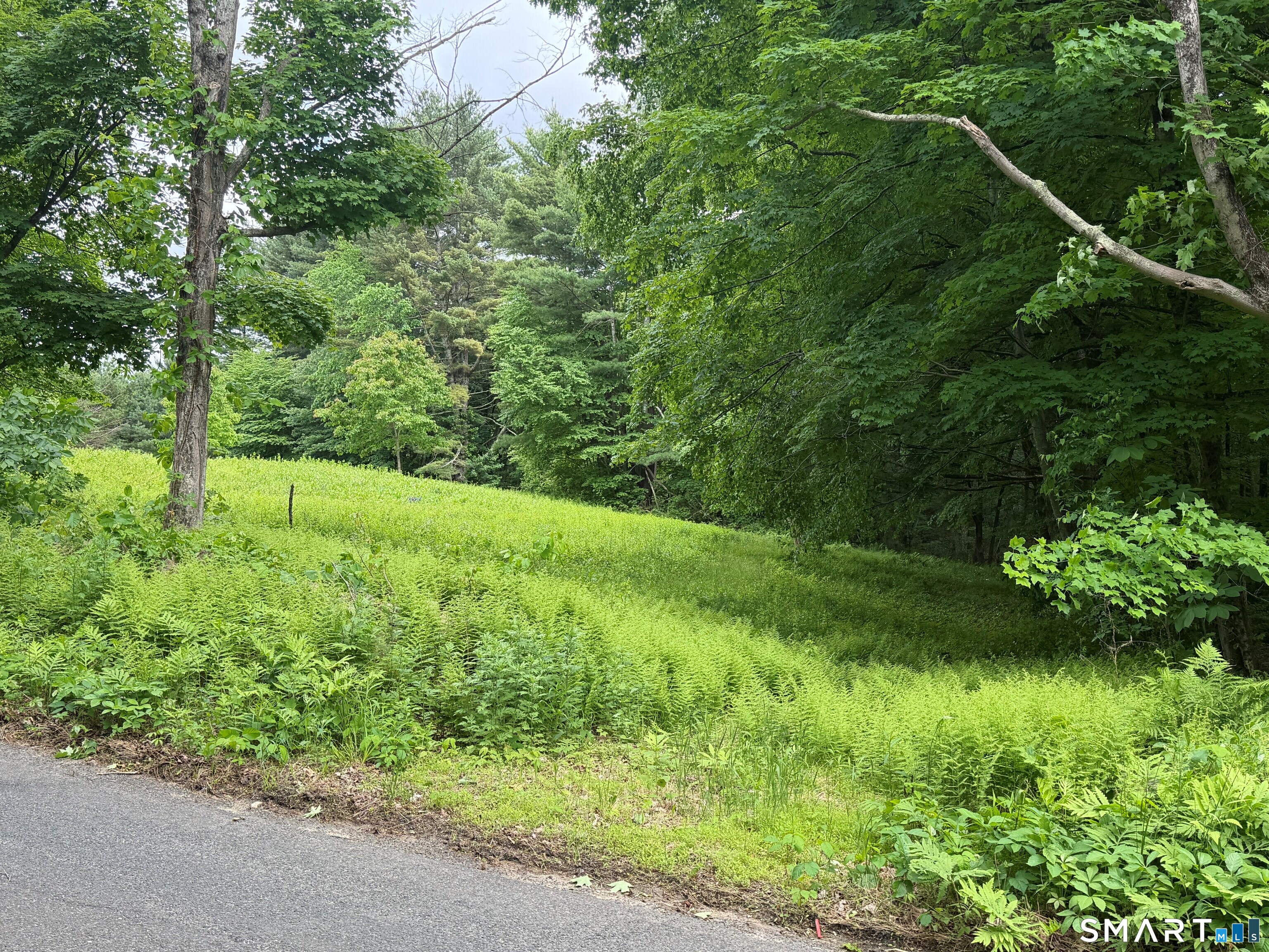 Homes for sale in Woodbury, CT | 133 Painter Hill Rd, Woodbury, CT 06798 | MLS# 24187054