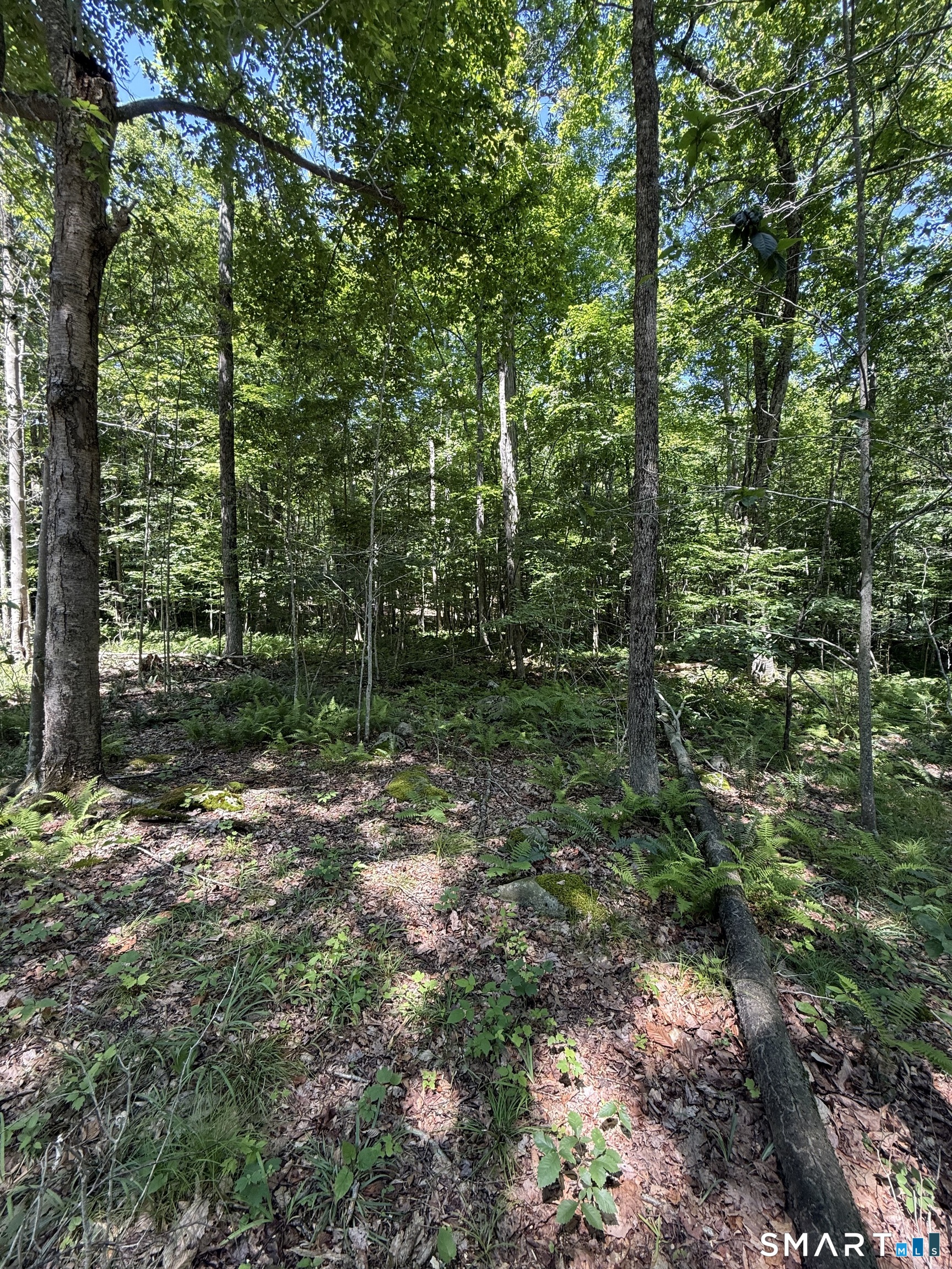 Homes for sale in New Milford, CT | Bullymuck Rd, New Milford, CT 06776 | MLS# 24184300