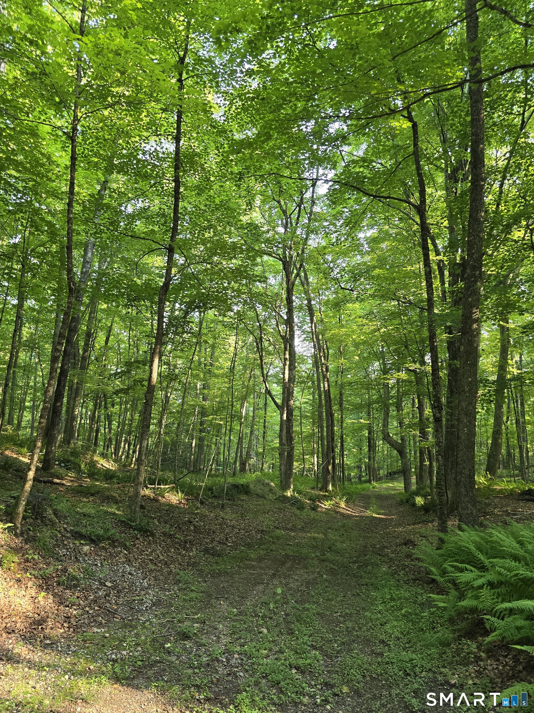 Homes for sale in Manchester, CT | 125 & 180 Coop Sawmill Rd, Manchester, CT 06040 | MLS# 24188348