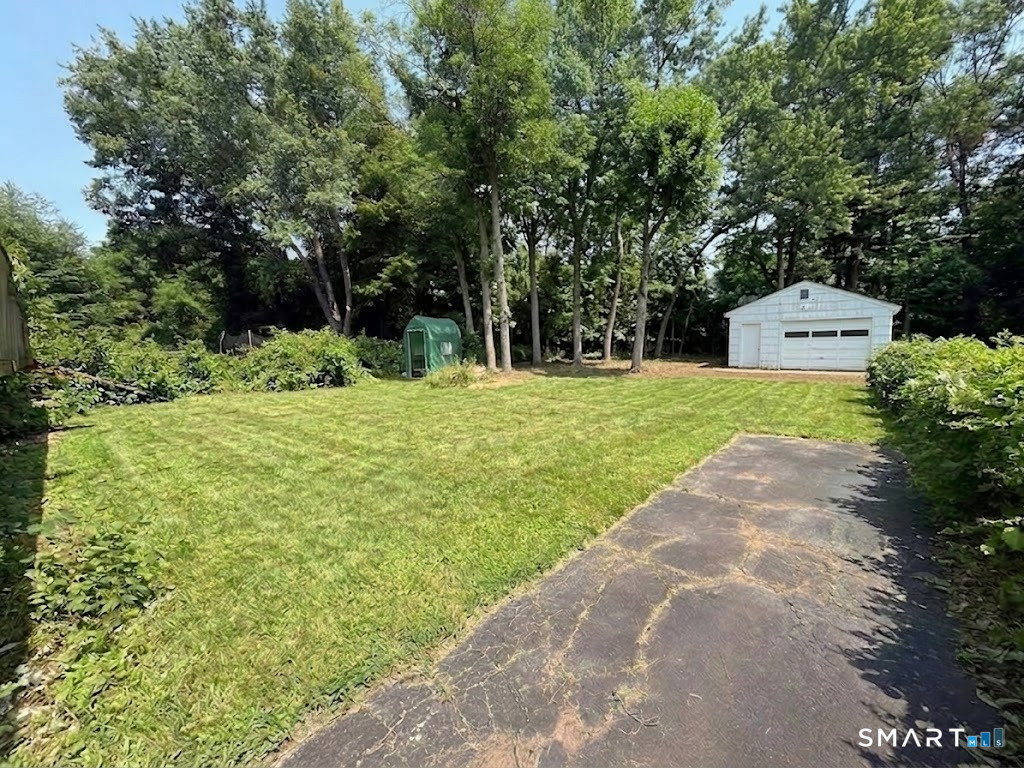 12 Arbutus Street photo 11