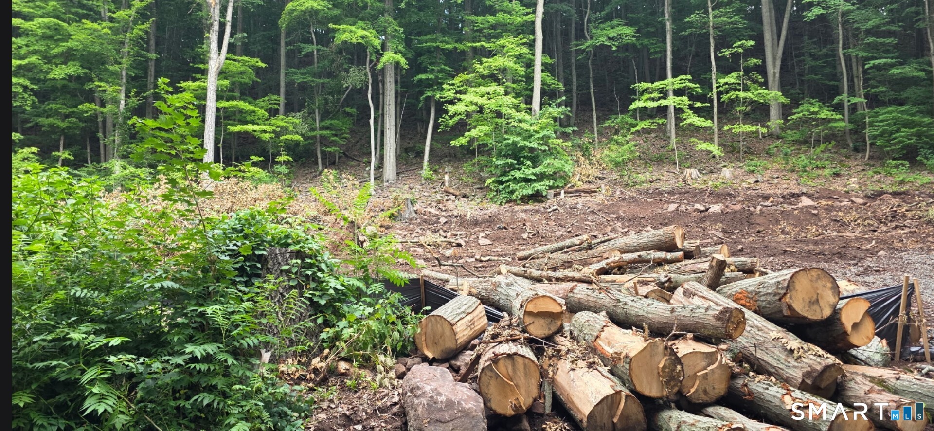 Photo 3 of Land for sale at 548 Thorpe Ave, Meriden, CT 06450 | MLS# 24187475 | Listing updated on 2026-10-09