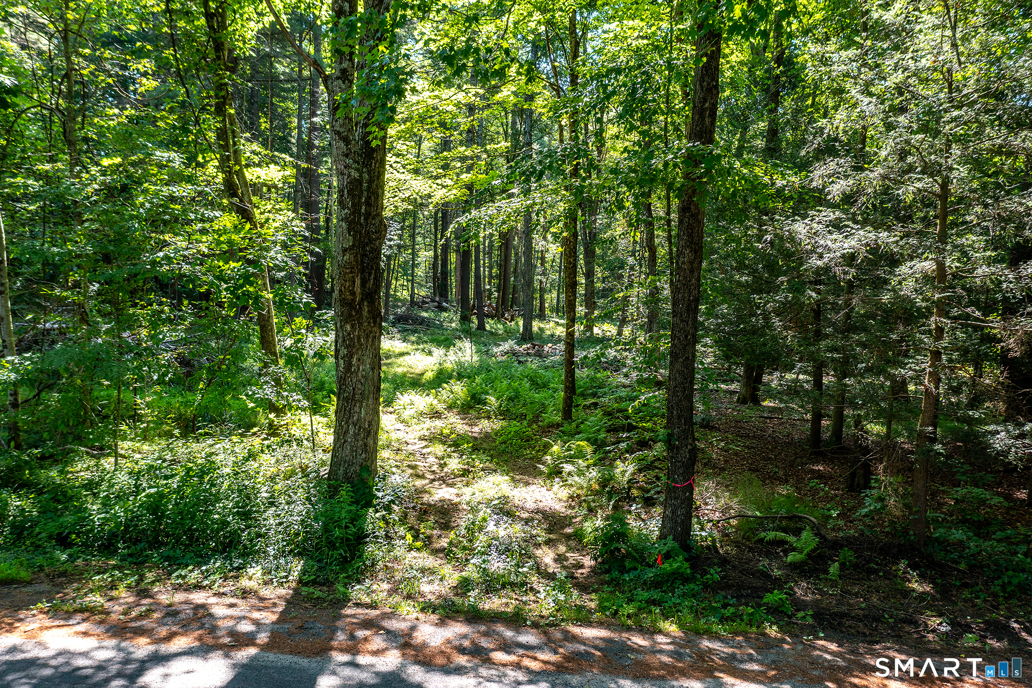 Homes for sale in Cornwall, CT | 00 Great Hollow Rd, Cornwall, CT 06753 | MLS# 24180271