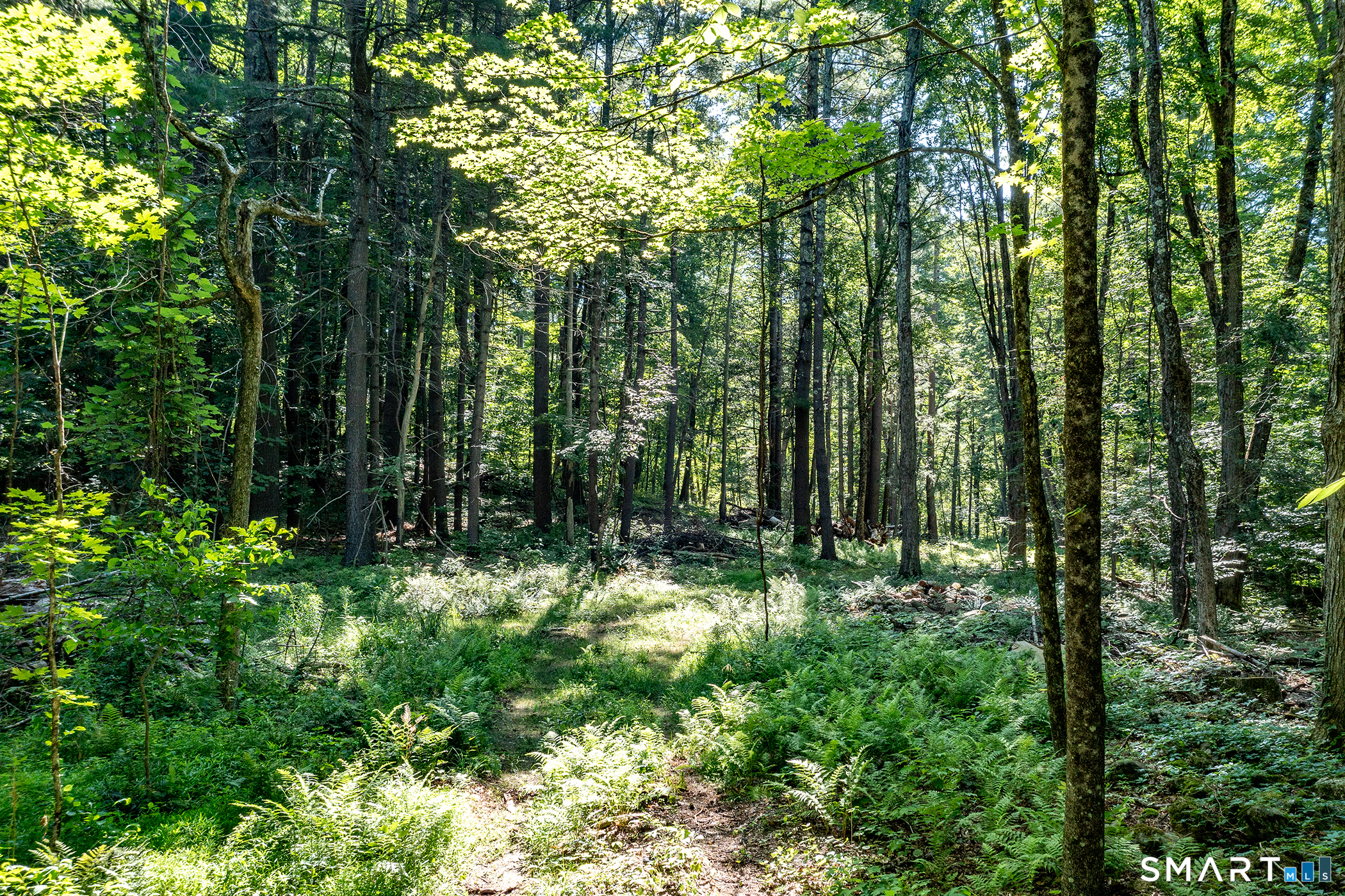 Homes for sale in Cornwall, CT | 00 Great Hollow Rd, Cornwall, CT 06753 | MLS# 24180271