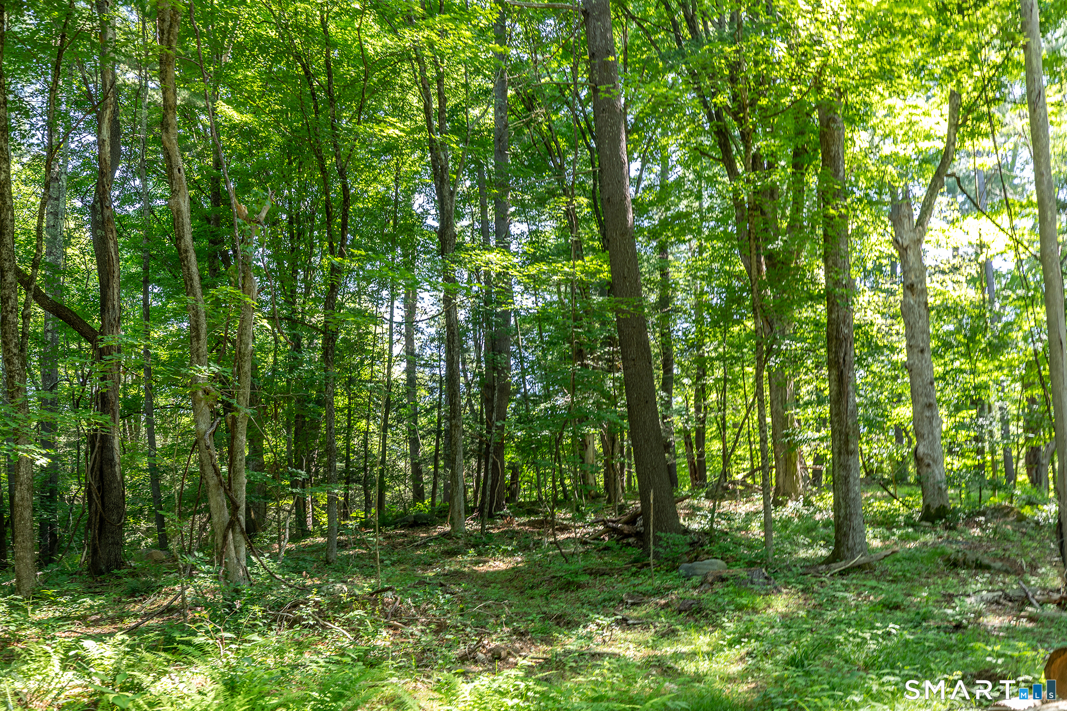 Homes for sale in Cornwall, CT | 00 Great Hollow Rd, Cornwall, CT 06753 | MLS# 24180271