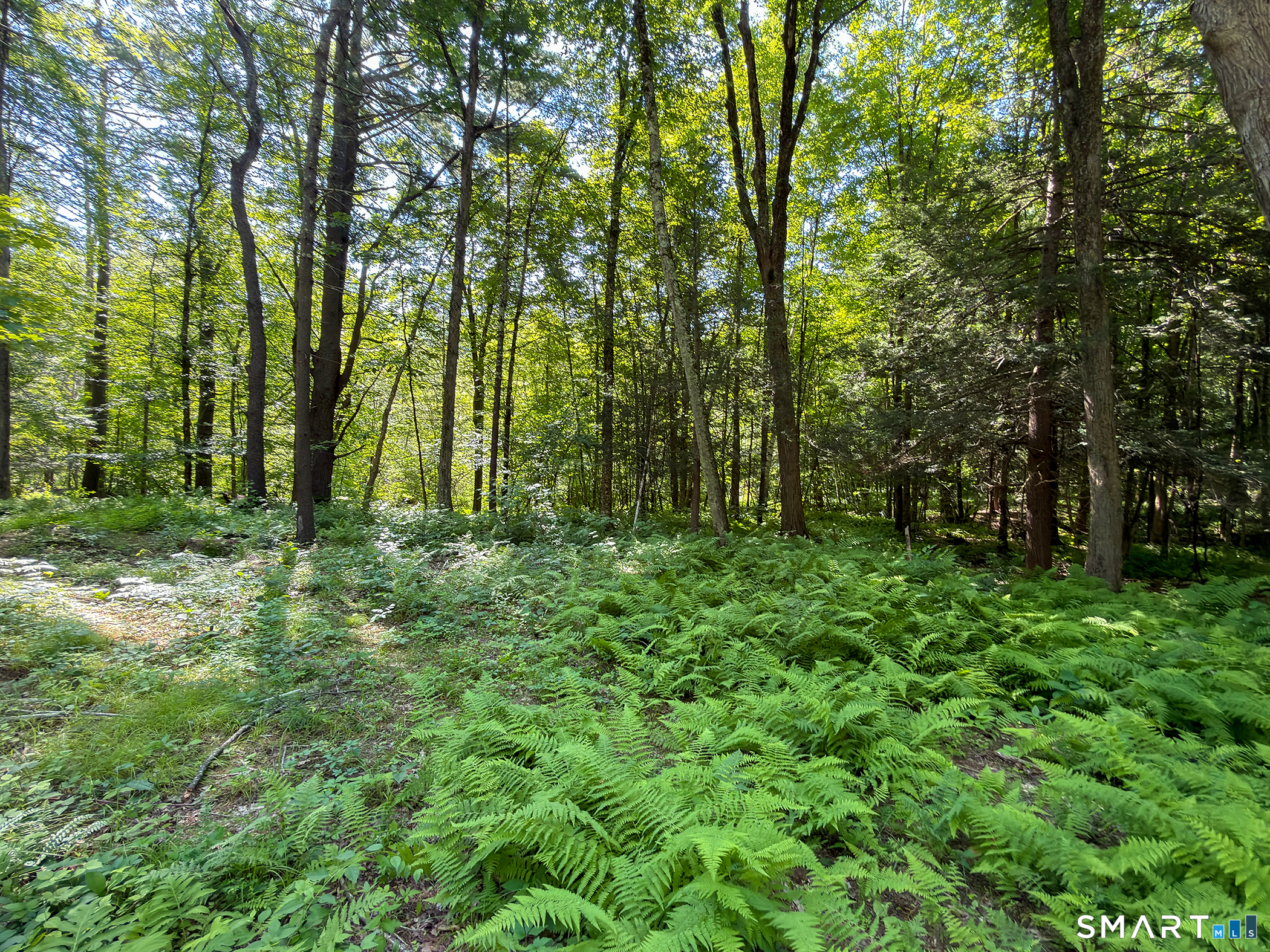 Homes for sale in Cornwall, CT | 00 Great Hollow Rd, Cornwall, CT 06753 | MLS# 24180271