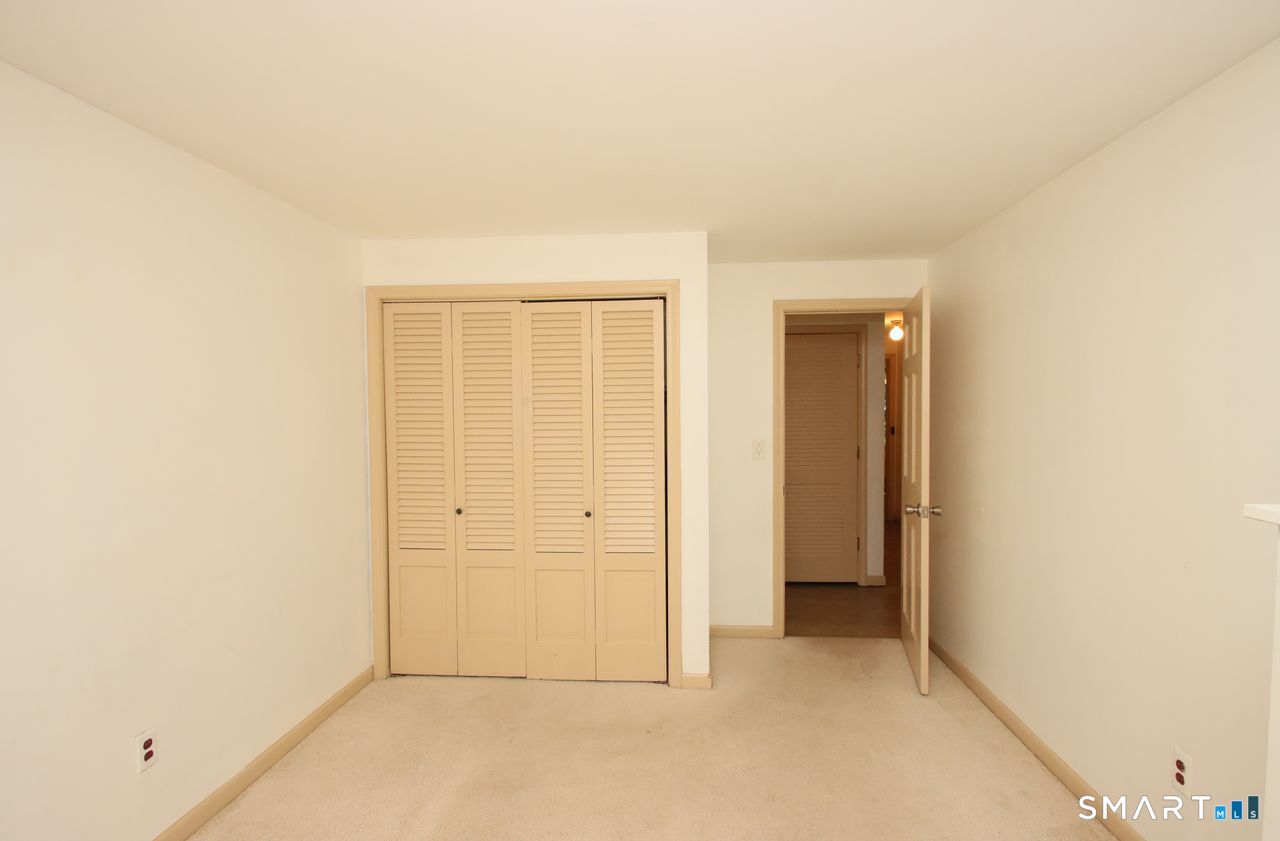 11 Lily Lane photo 33