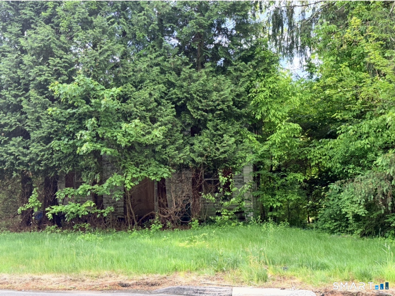 Homes for sale in Pomfret, CT | 768 Mashamoquet Rd, Pomfret, CT 06259 | MLS# 24189903
