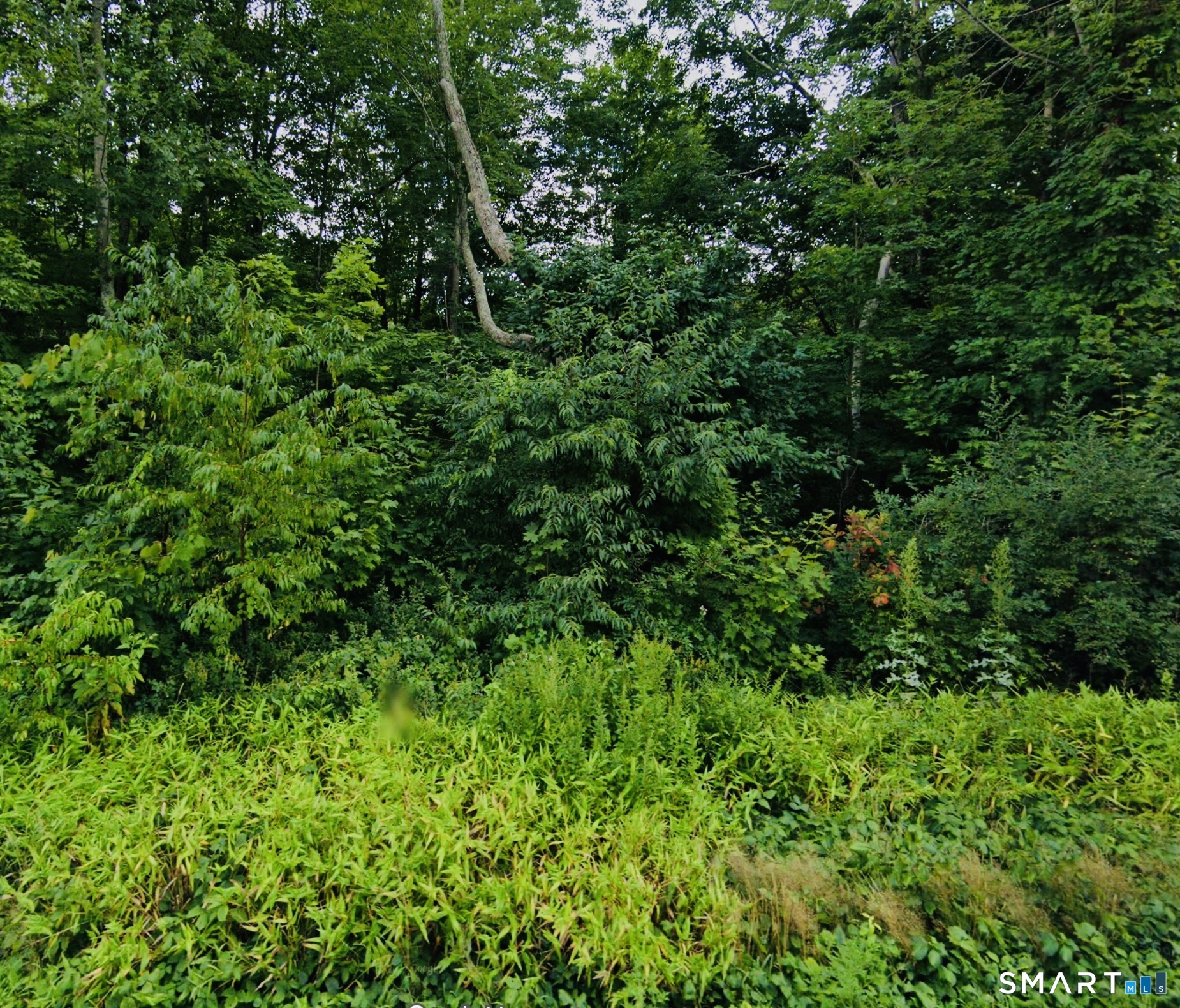 Homes for sale in Pomfret, CT | Lot 6 & 6a Mashamoquet Rd, Pomfret, CT 06259 | MLS# 24189937