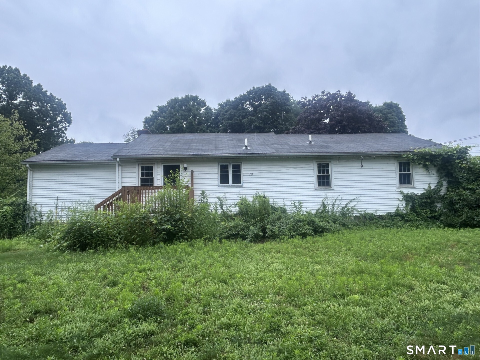 144 Rye Street photo 22