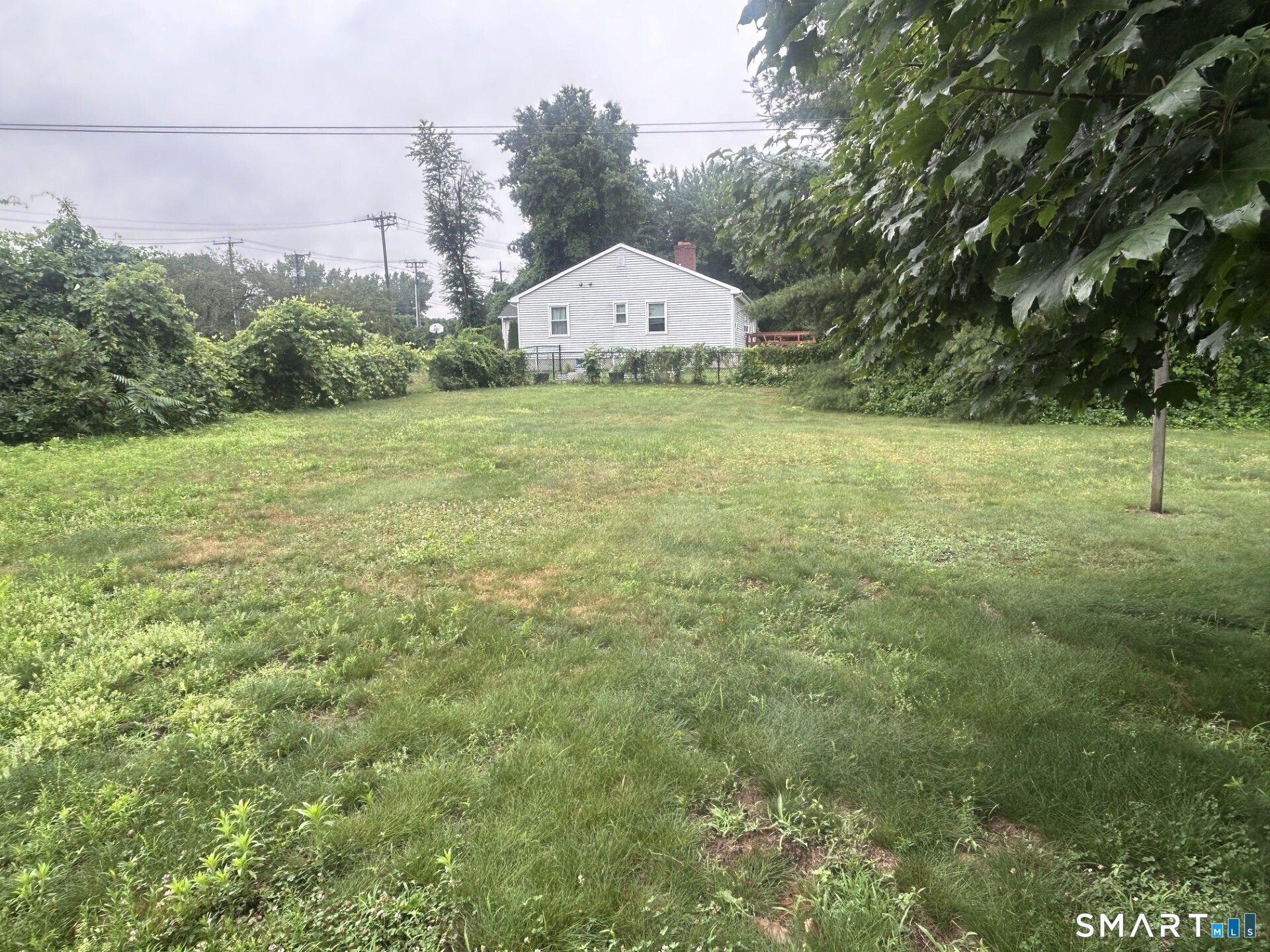144 Rye Street photo 20