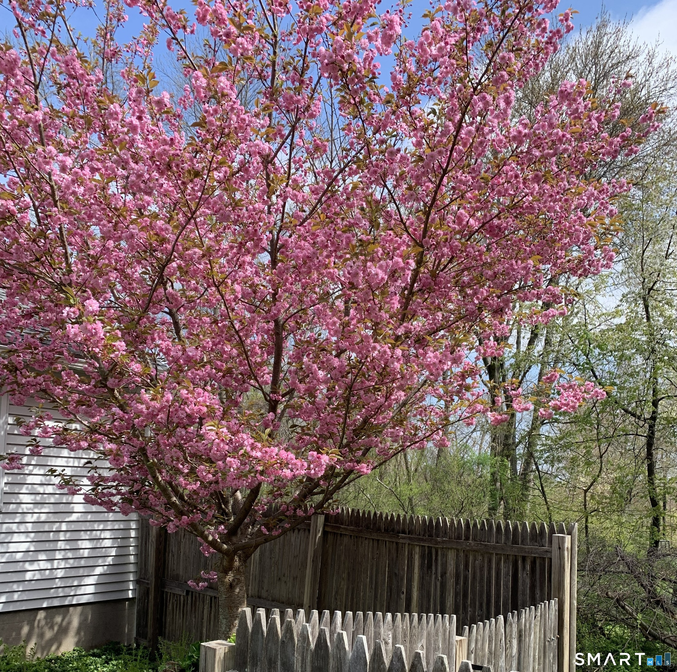 57 Hickory Hill Road photo 31