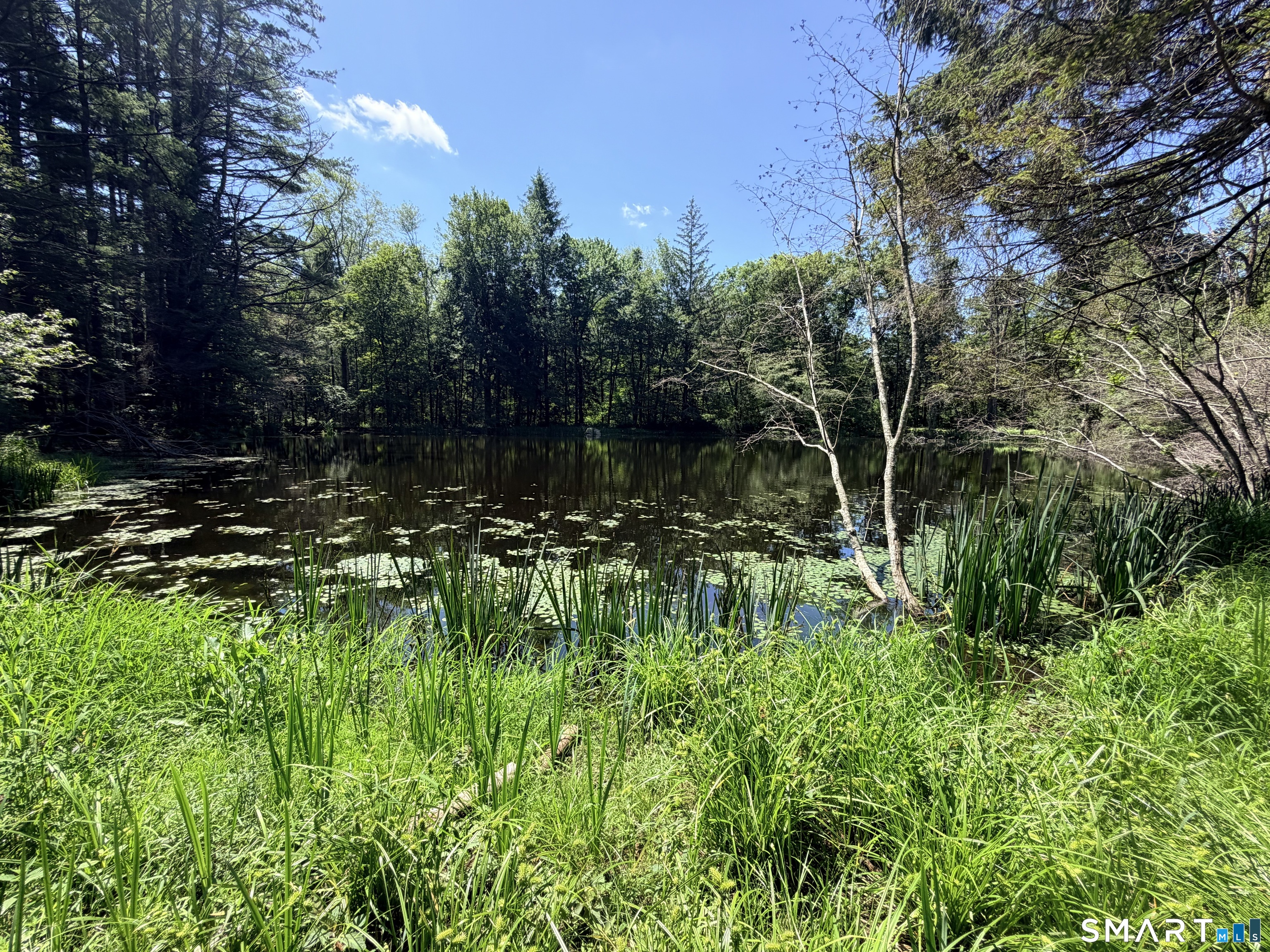 Homes for sale in Pomfret, CT | 768 Mashamoquet Rd, Pomfret, CT 06259 | MLS# 24189903