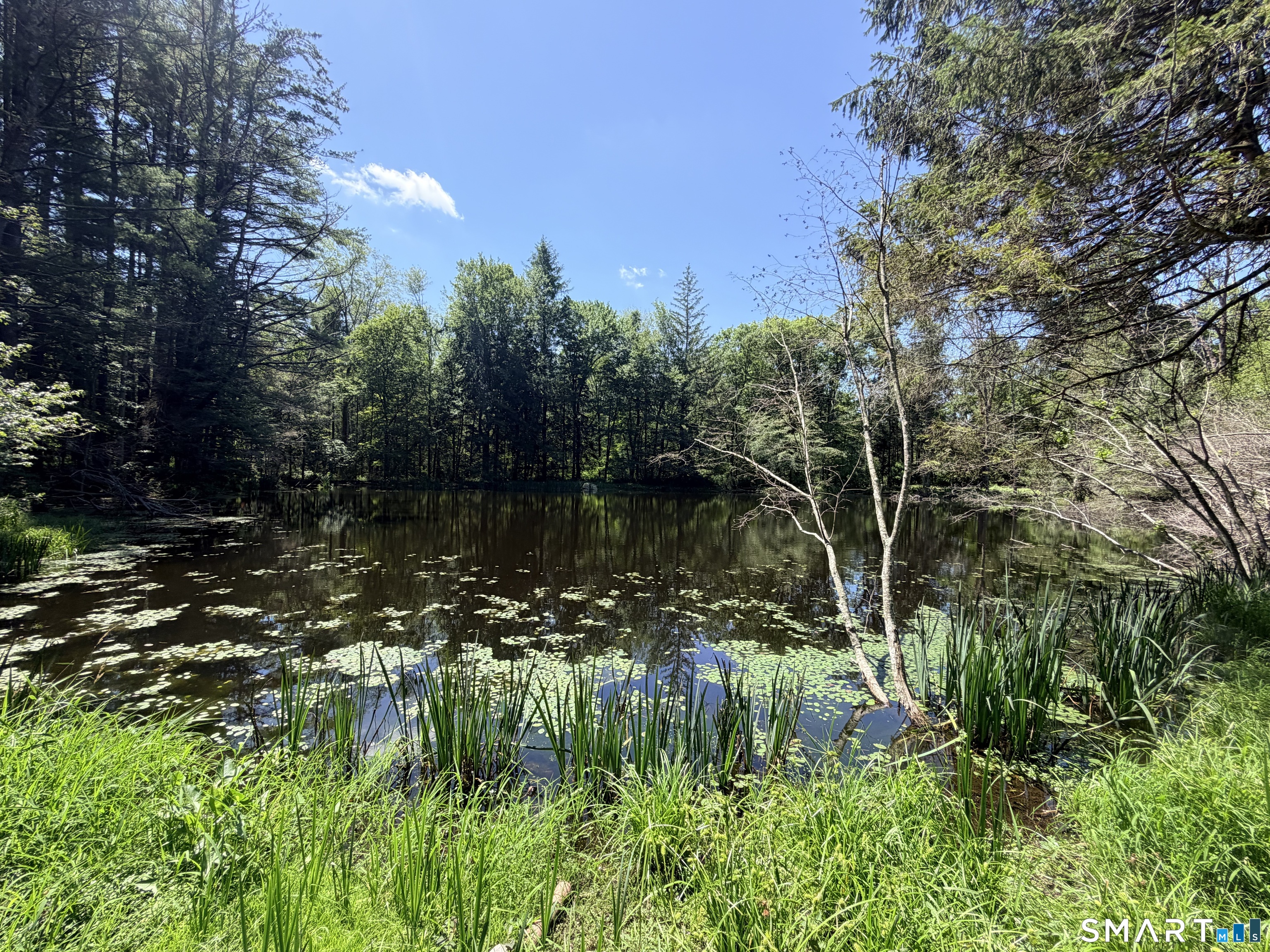 Homes for sale in Pomfret, CT | 768 Mashamoquet Rd, Pomfret, CT 06259 | MLS# 24189903