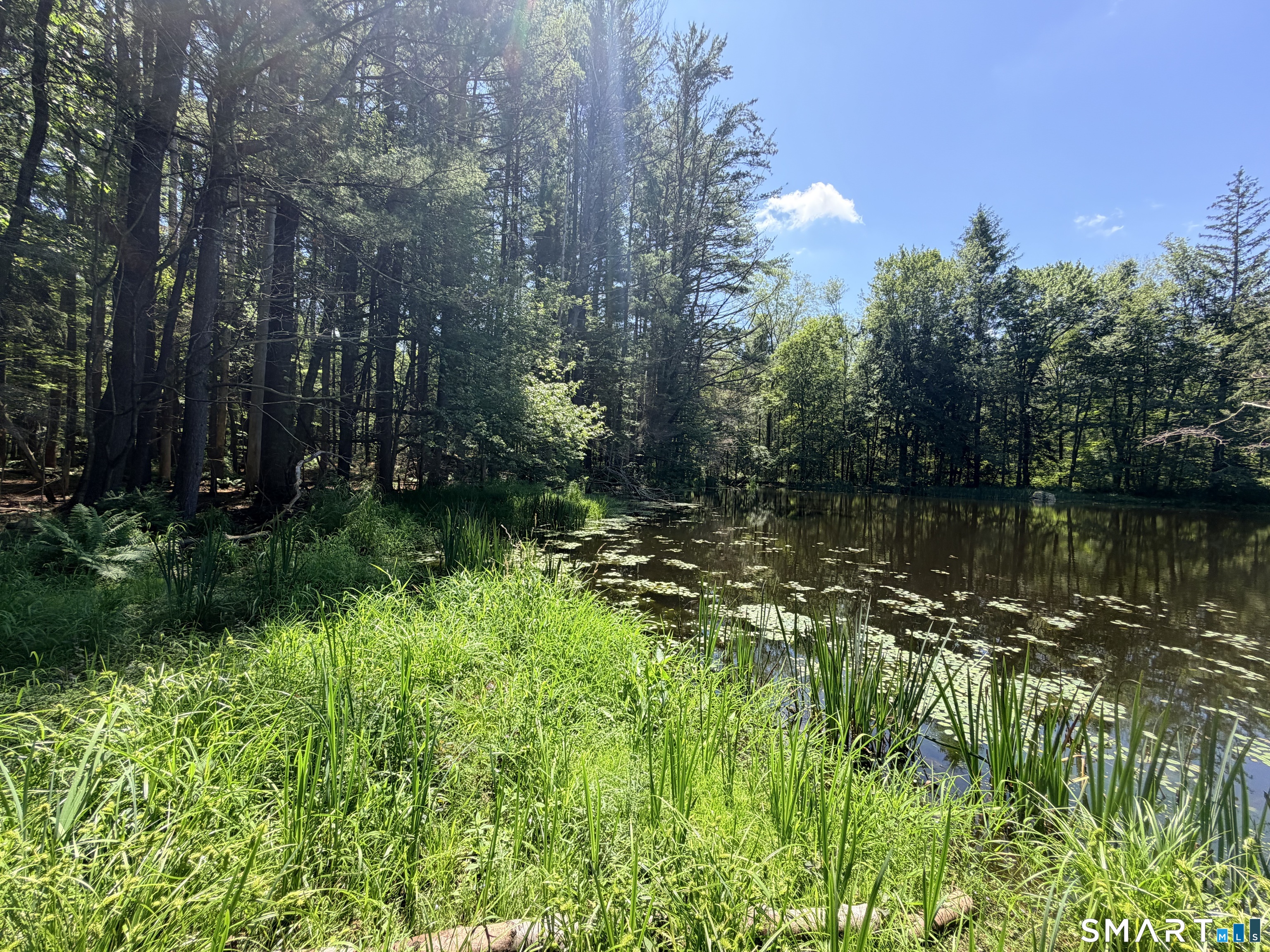 Homes for sale in Pomfret, CT | 768 Mashamoquet Rd, Pomfret, CT 06259 | MLS# 24189903