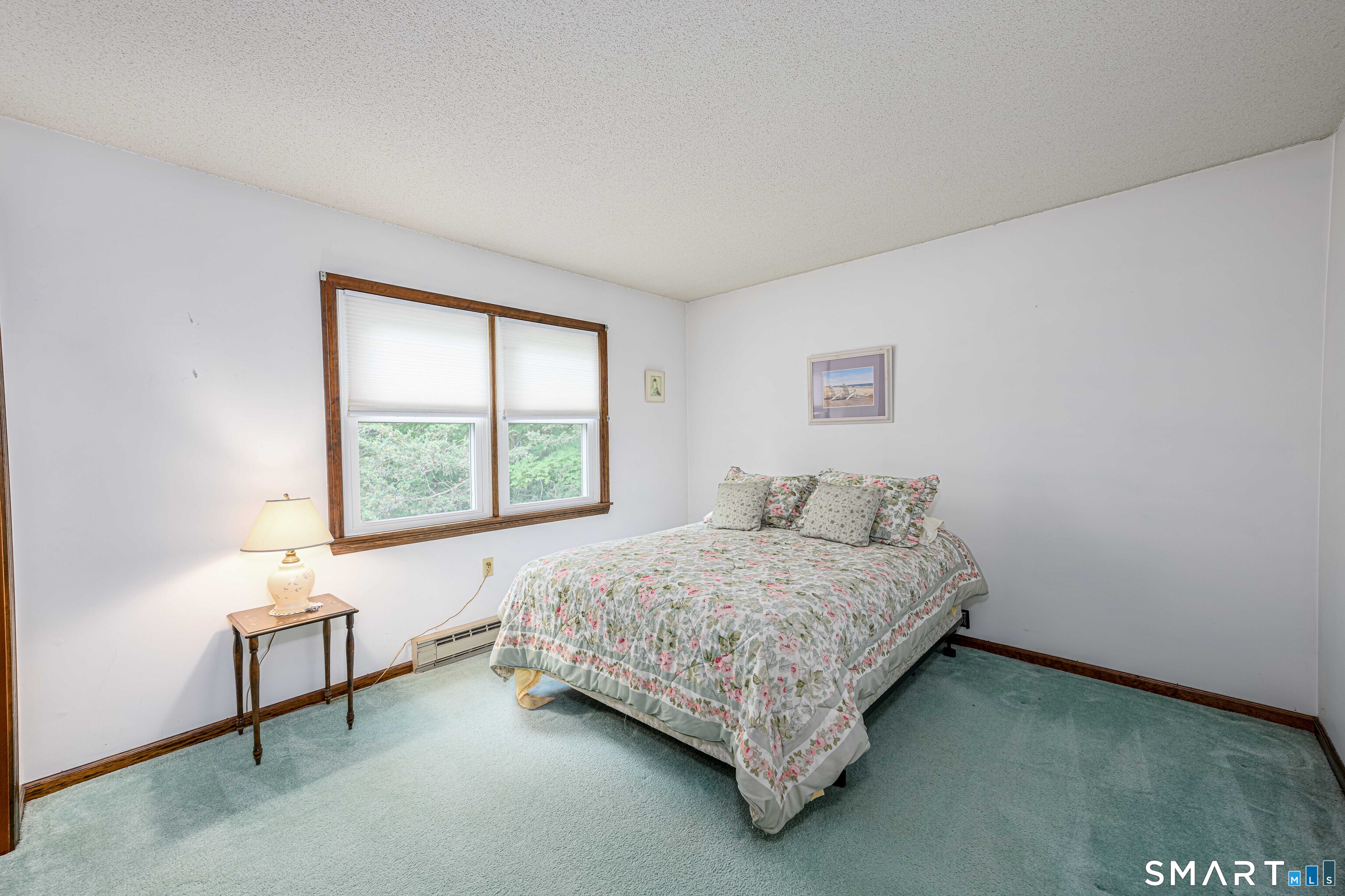 311 Twin Lakes Road photo 25