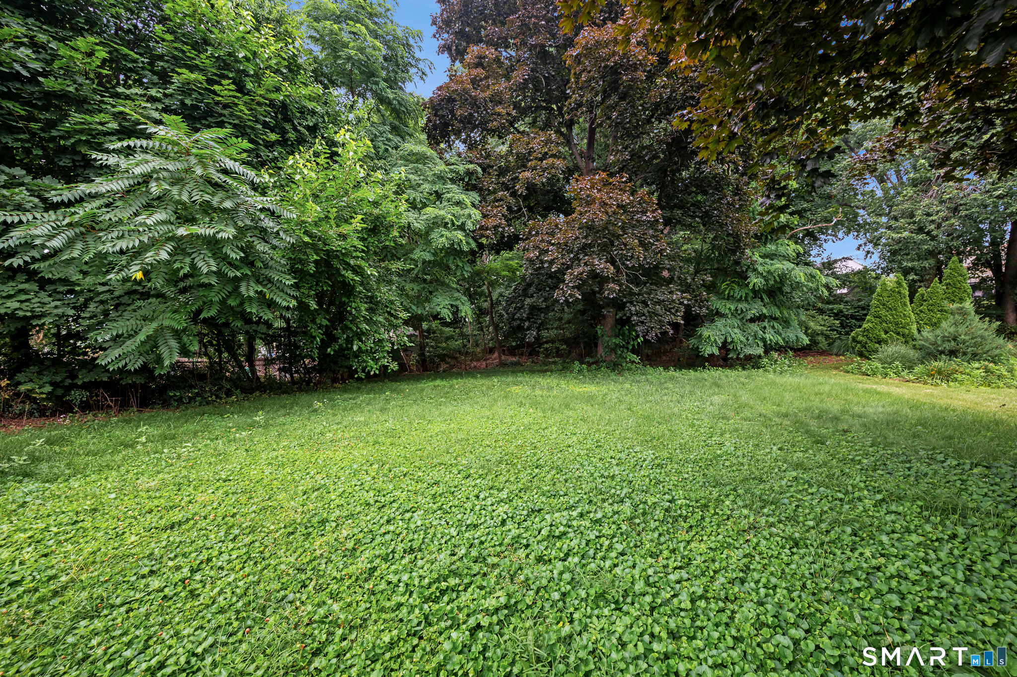 58 Jackson Avenue photo 22