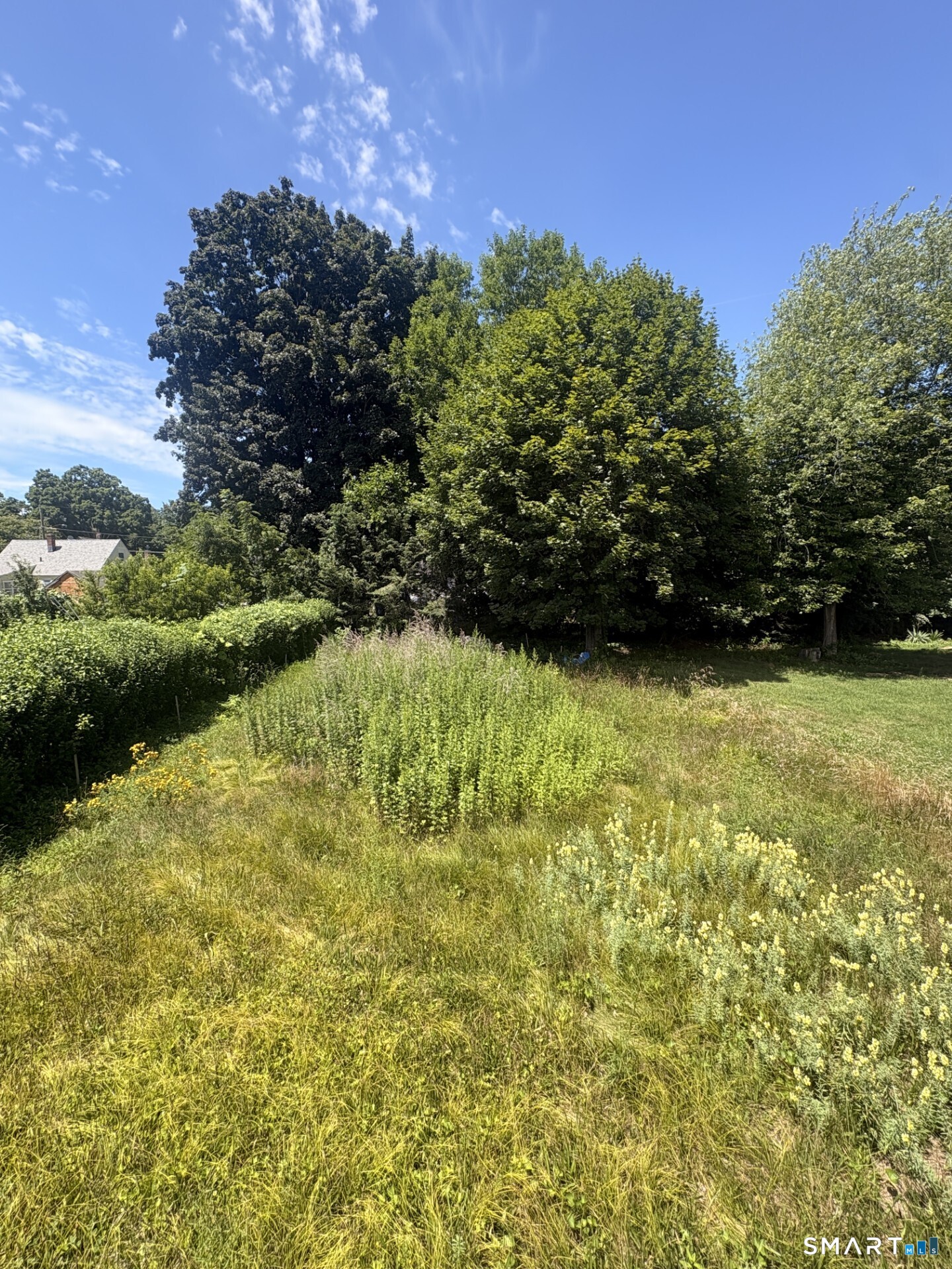 Homes for sale in Waterbury, CT | Milton Ave, Waterbury, CT 06701 | MLS# 24193038