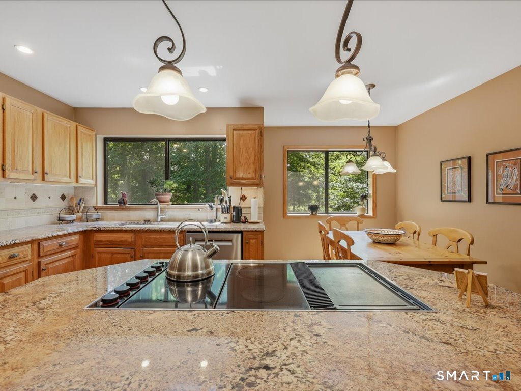 6 Douglas Lane photo 20