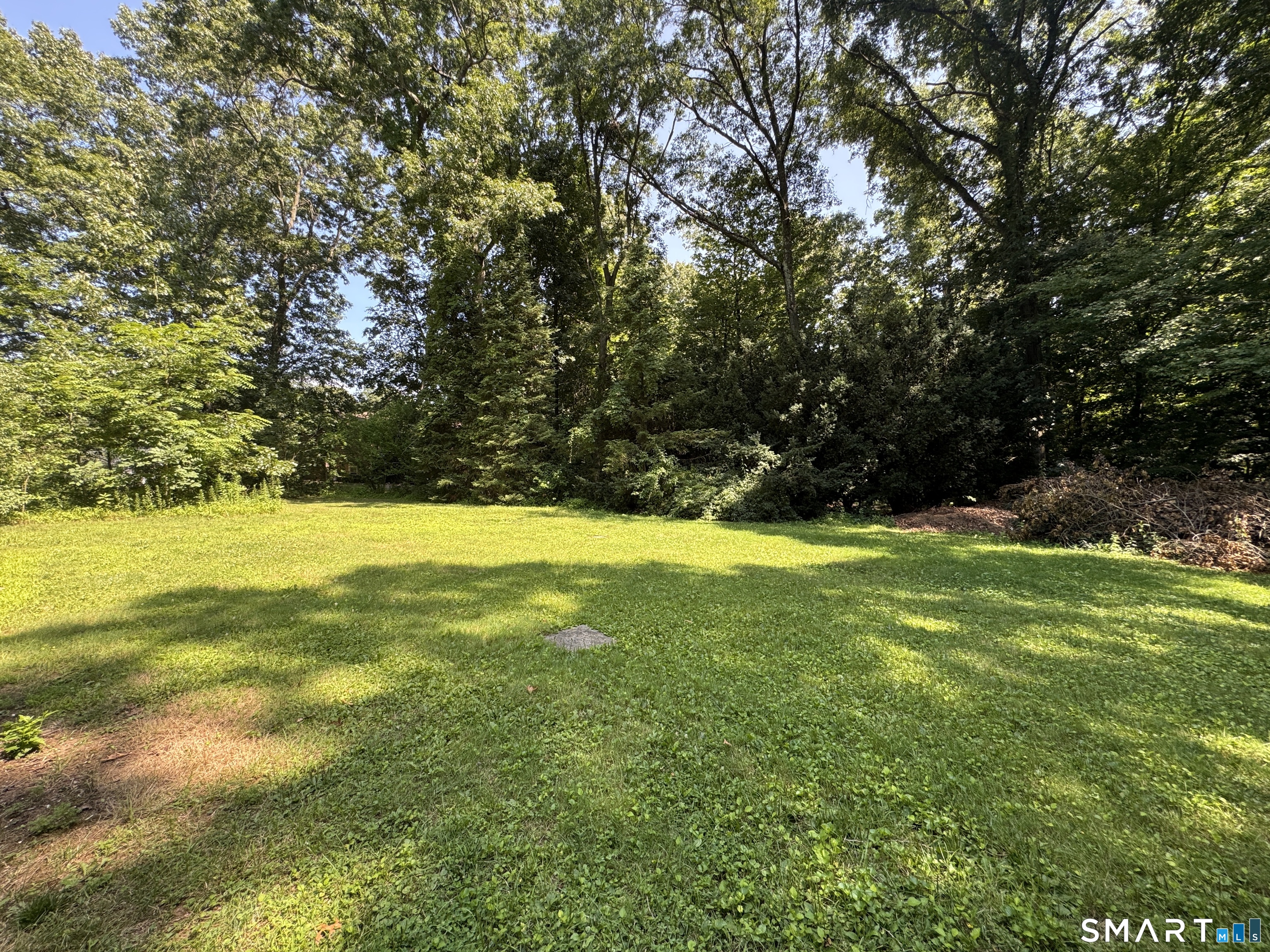 23 Maplewood Drive photo 10