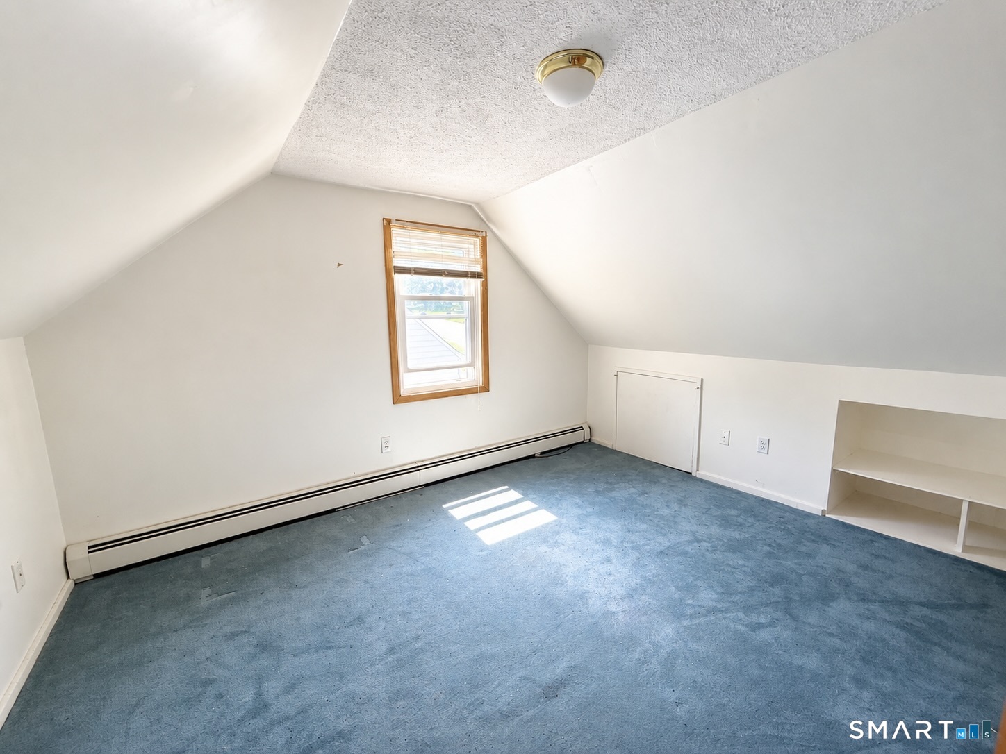 12 Arbutus Street photo 10