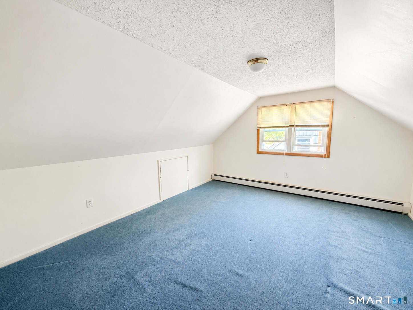 12 Arbutus Street photo 8