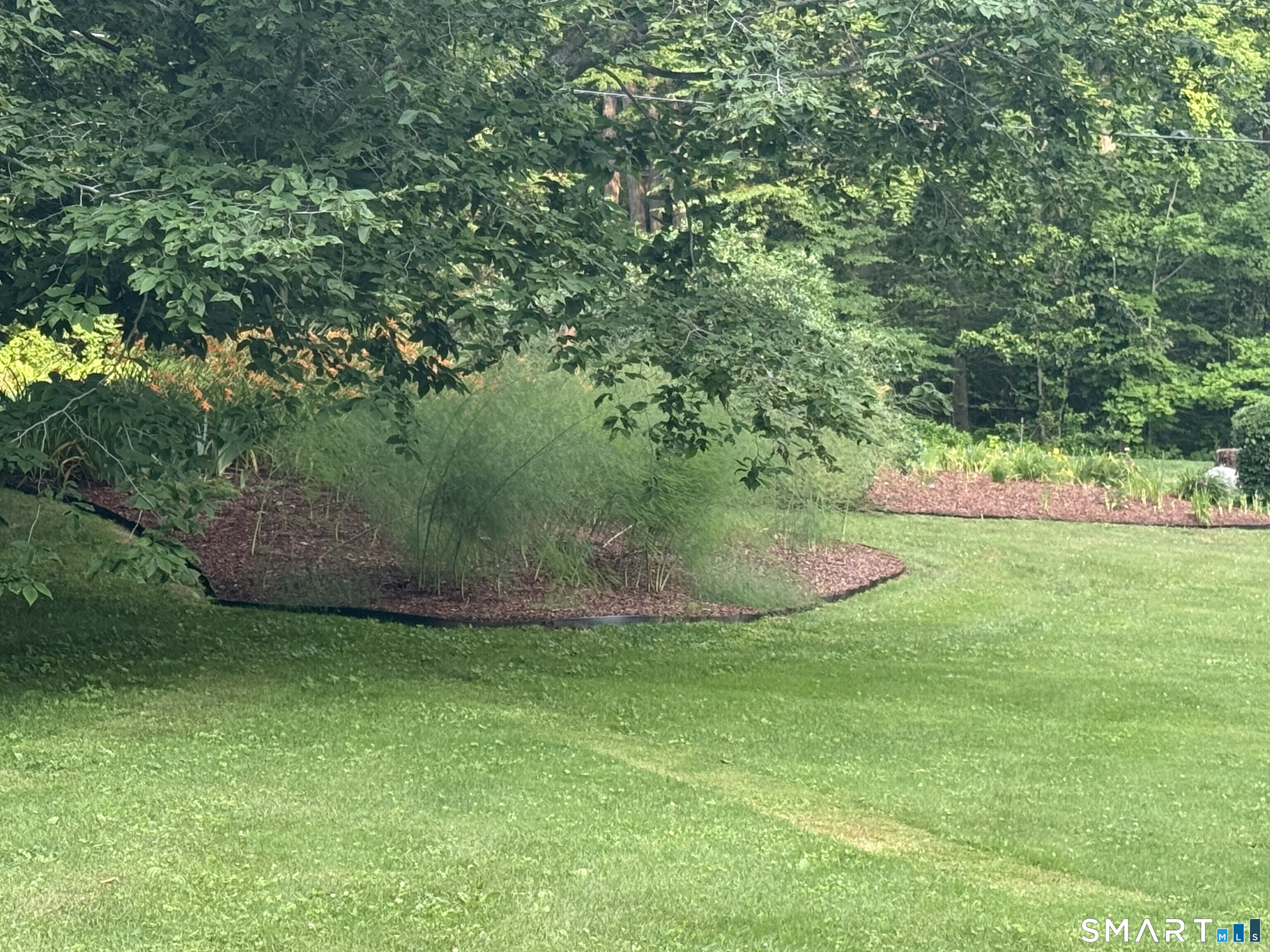 138 Clark Hill Road photo 39