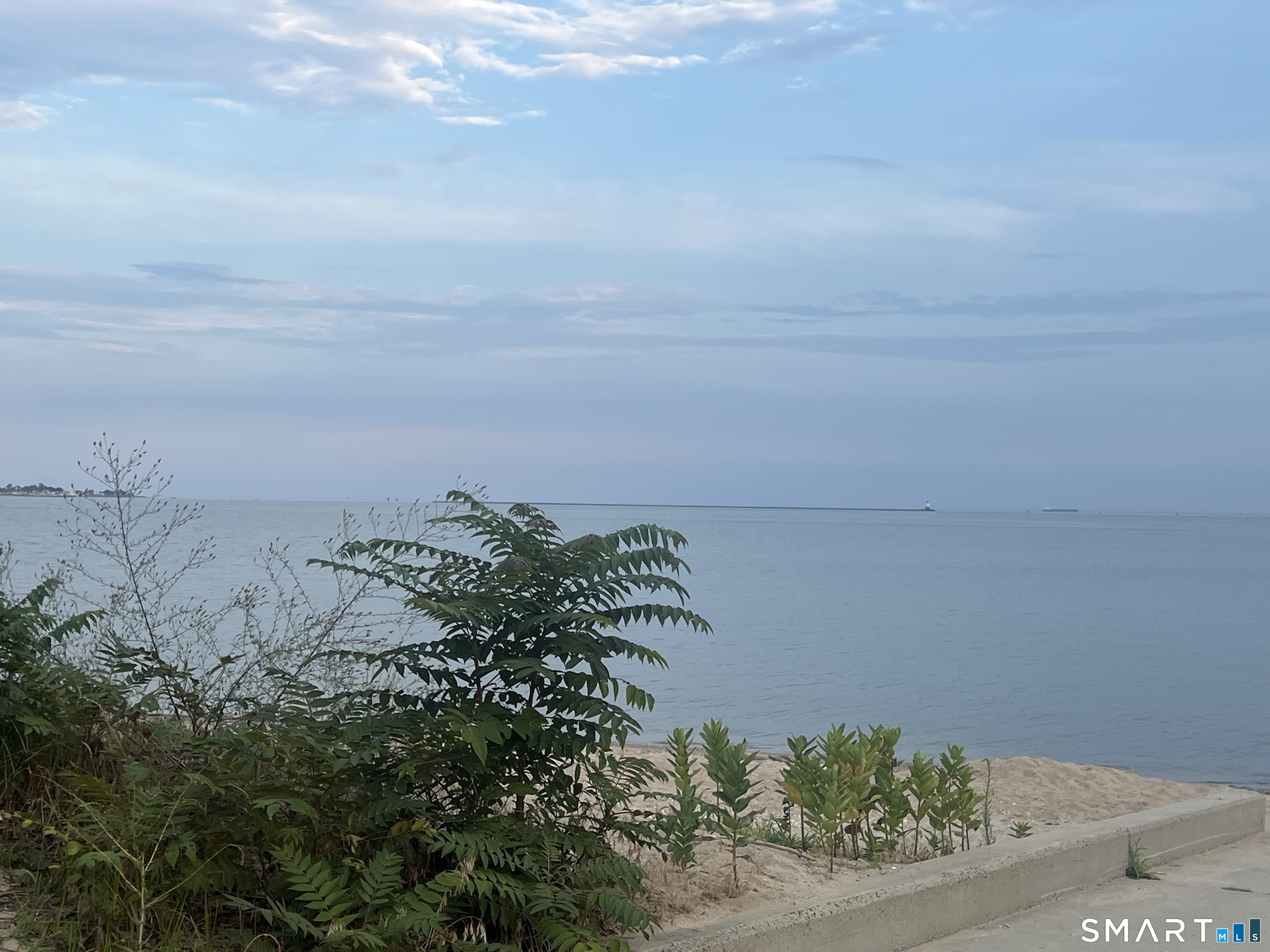 36 East Avenue photo 19