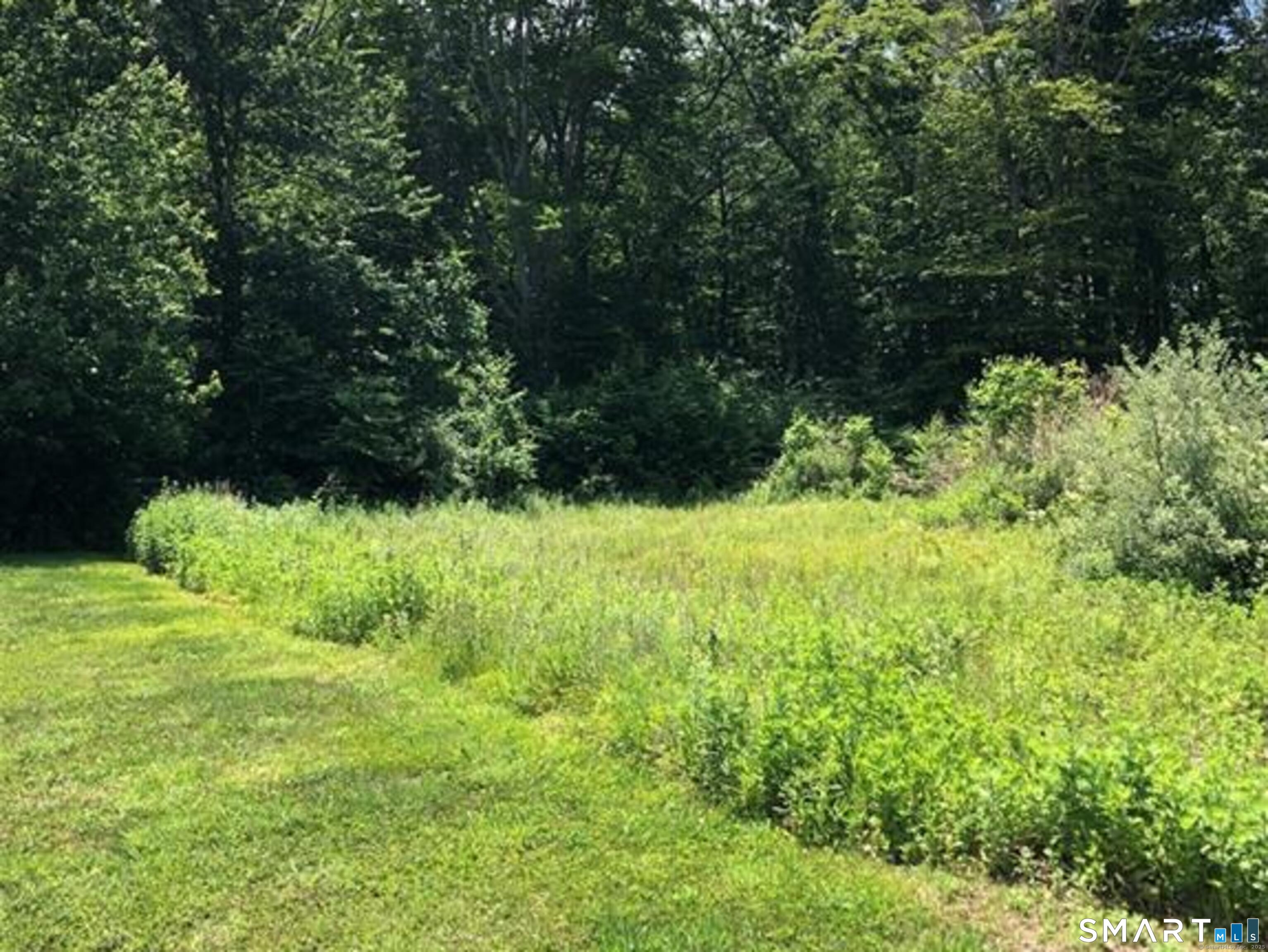 Monahan Drive photo 5