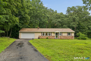 28 Andrew, Shelton