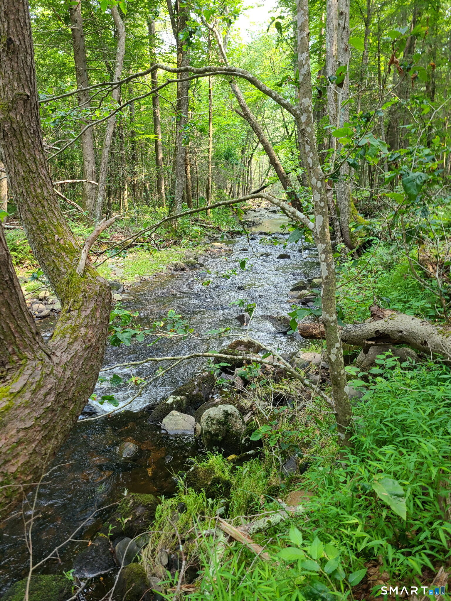 92 Clark Hill Road photo 40