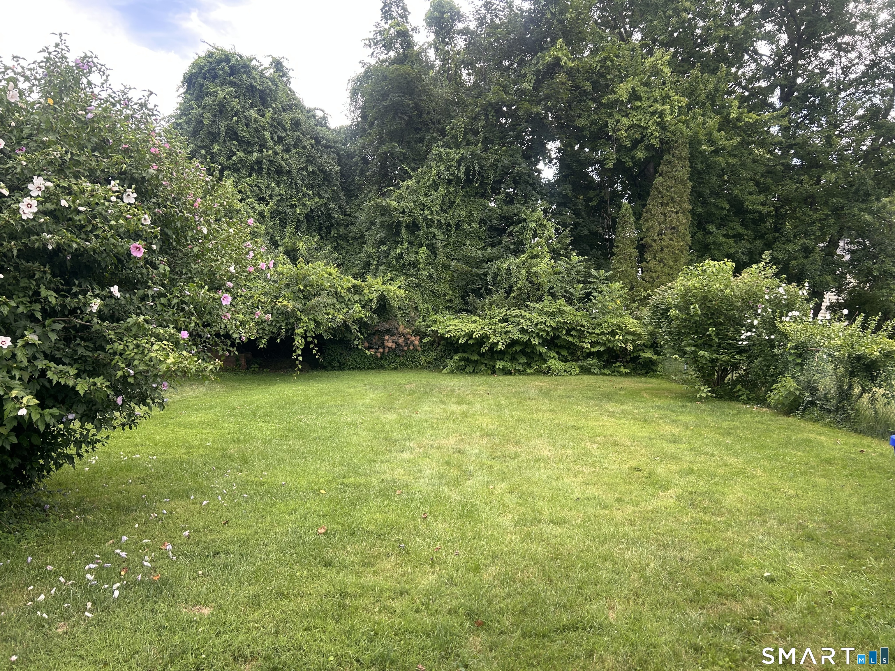 406 Oakwood Avenue photo 28