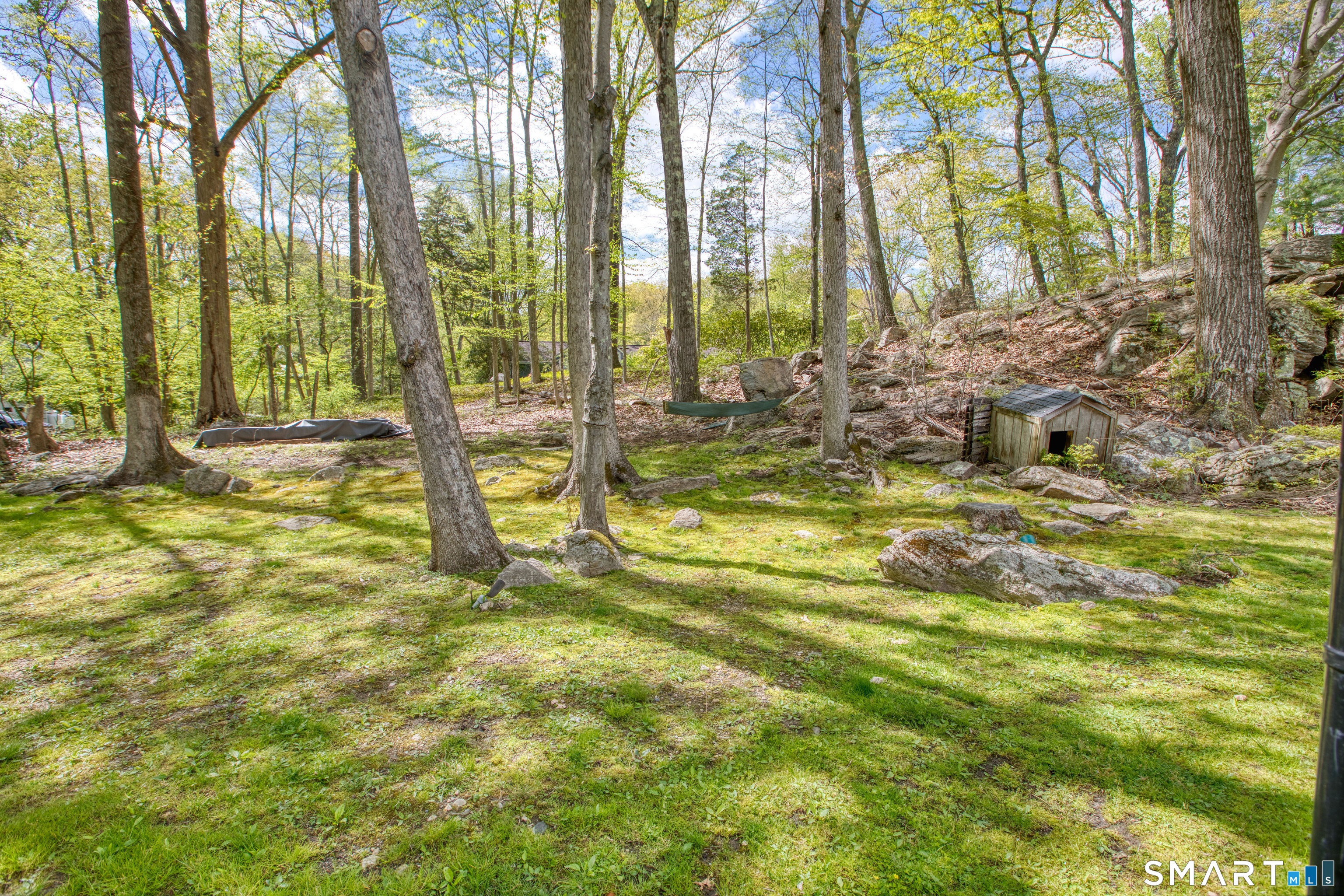 119 Dundee Road photo 34