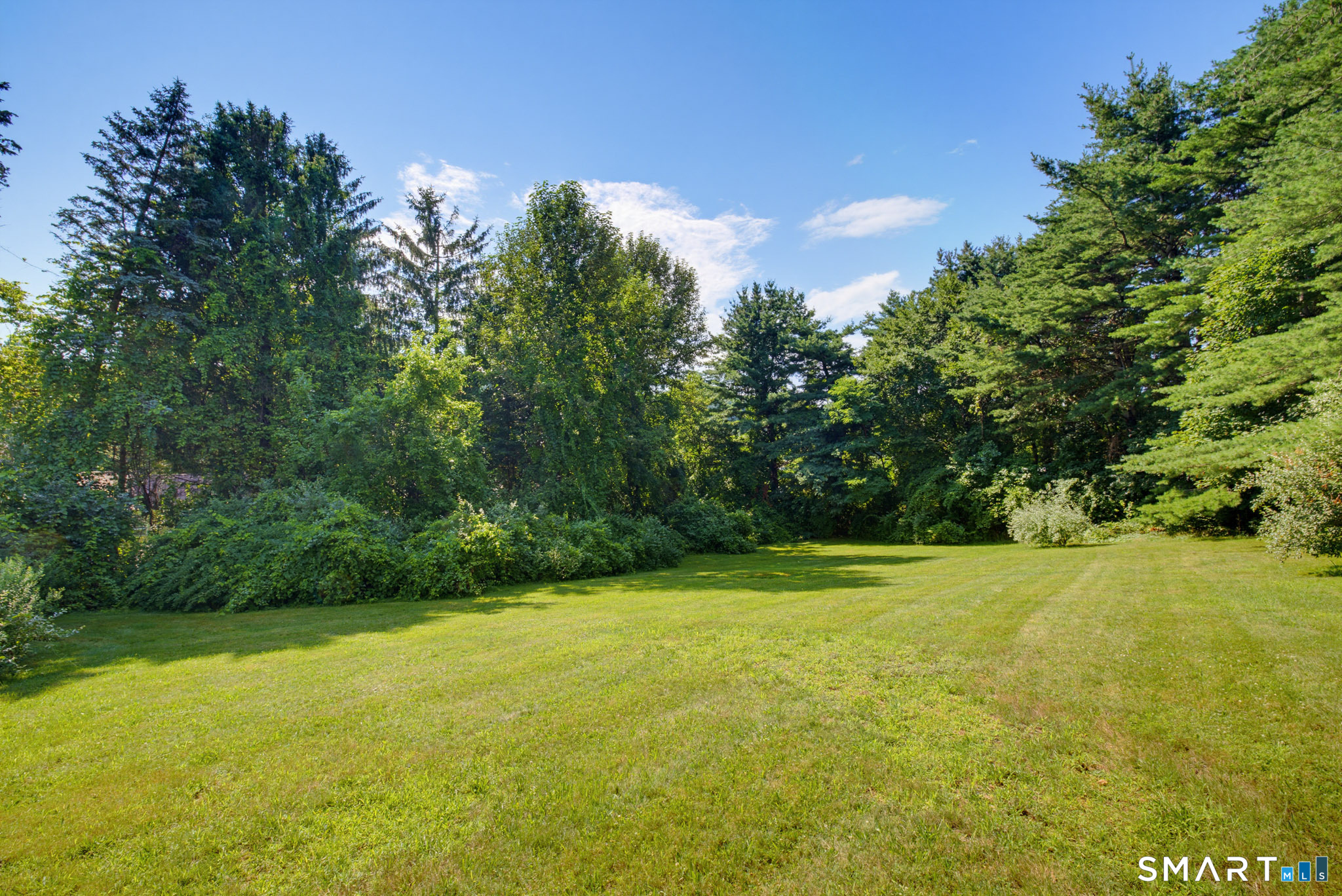 97 Nutmeg Drive photo 38