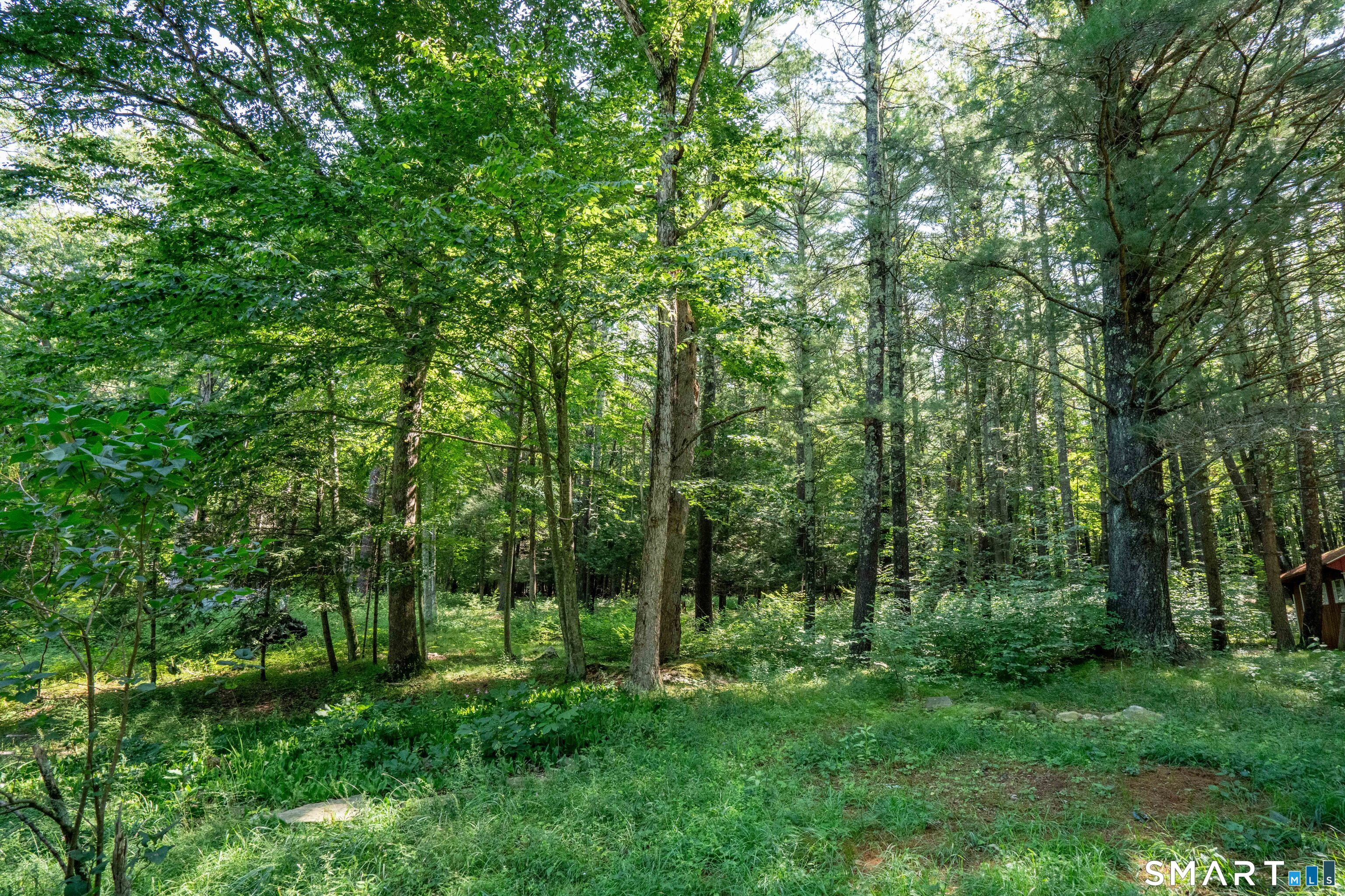 260 Codfish Falls Road photo 20