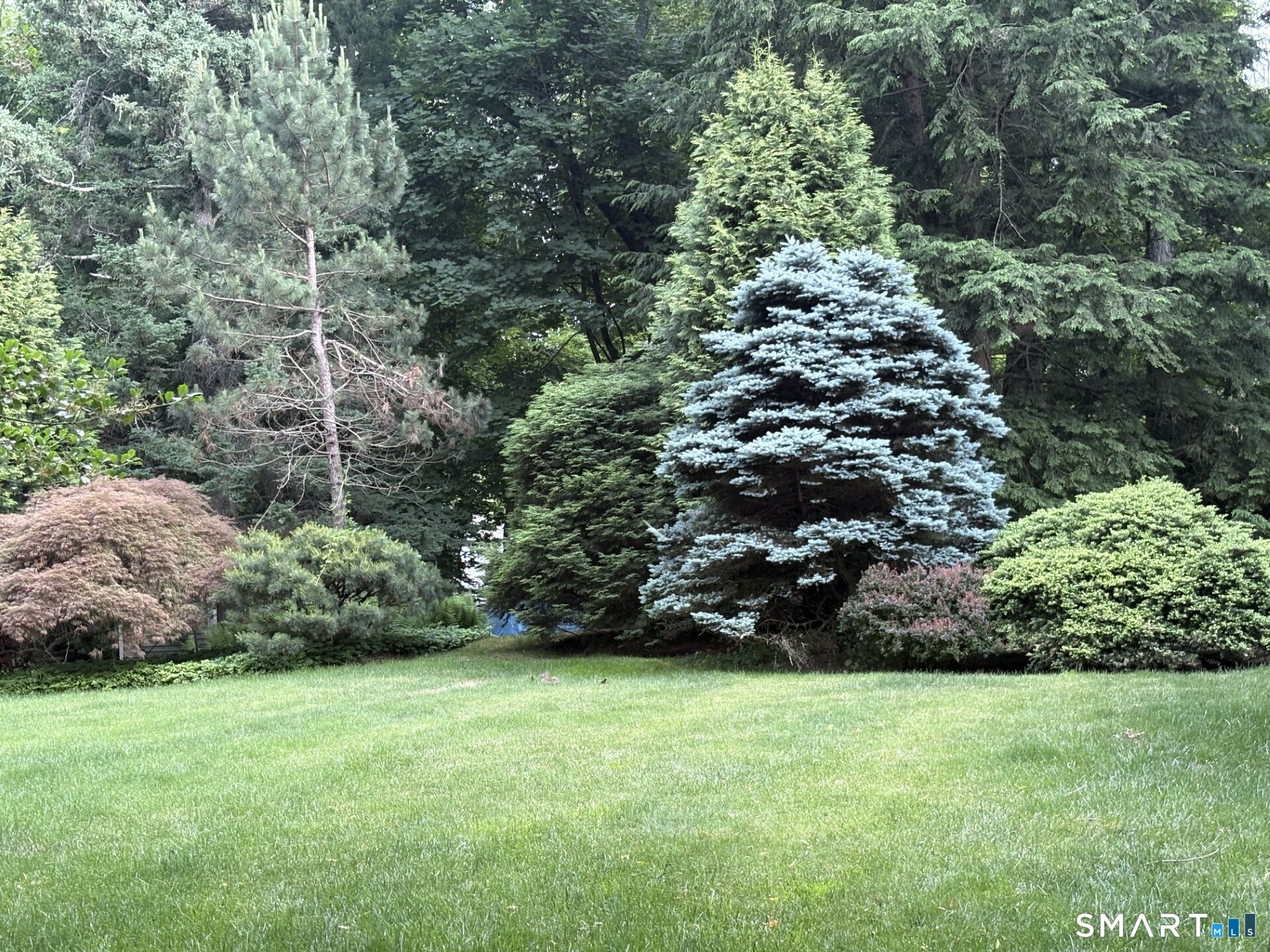 1-2 Hollow Spring Road, Norwalk, Connecticut photo 5