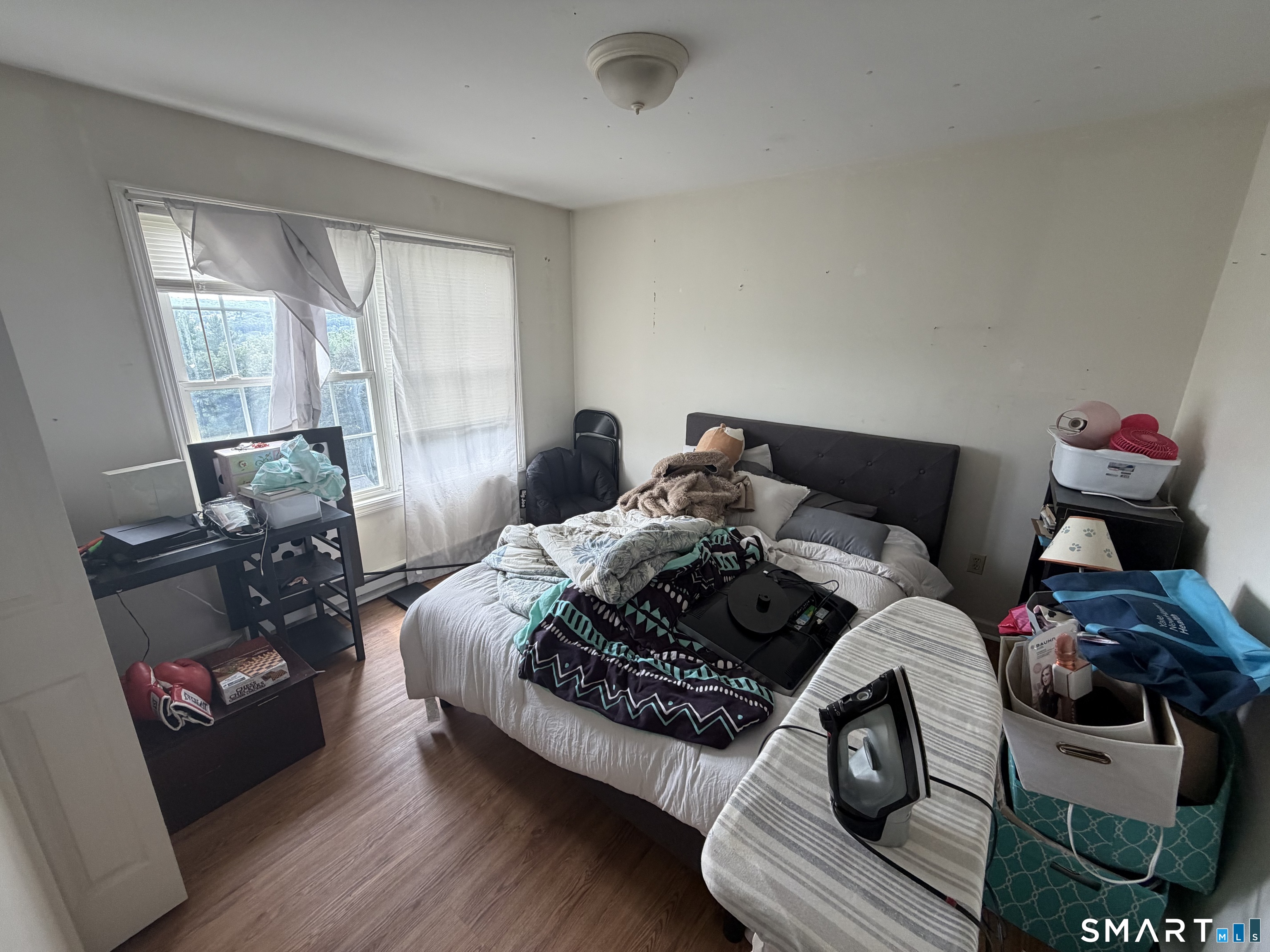 38 Wilson Street photo 12
