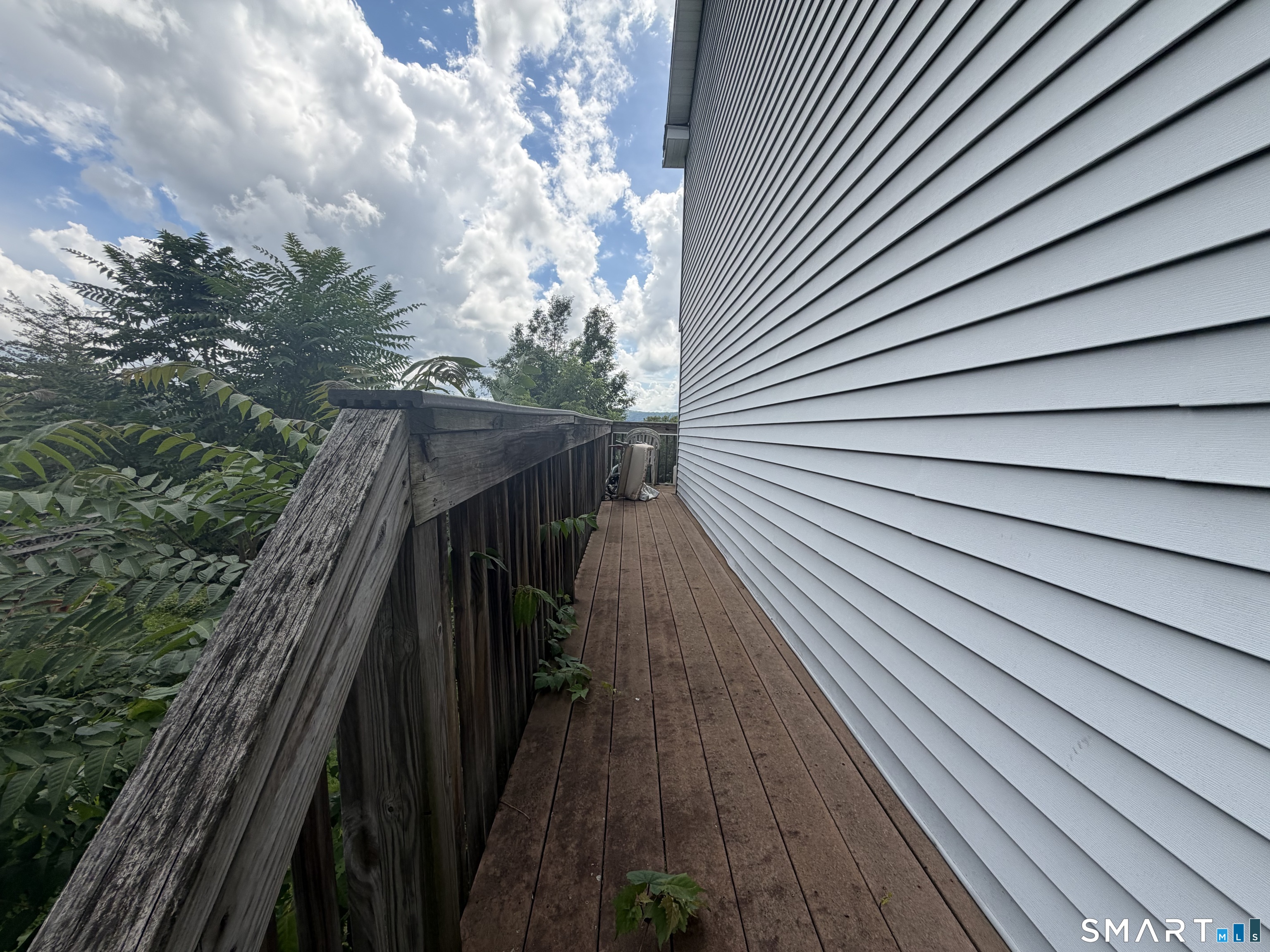 38 Wilson Street photo 14