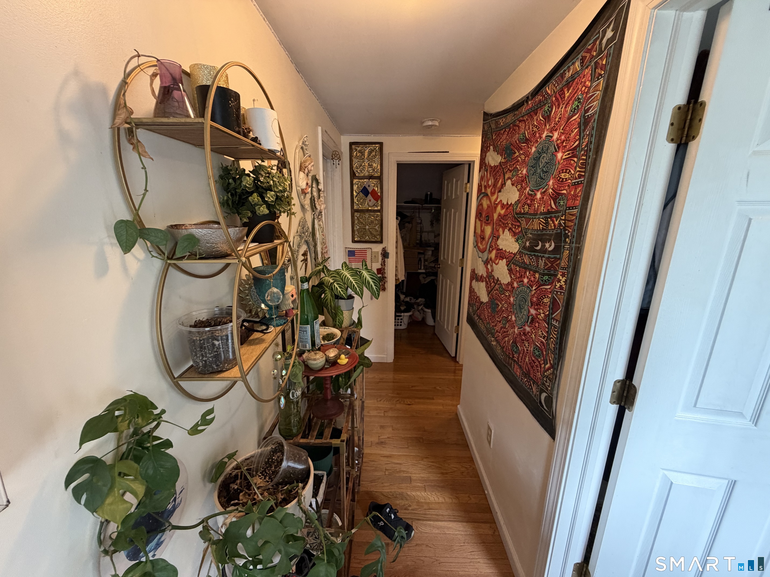 47 Lounsbury Street photo 13