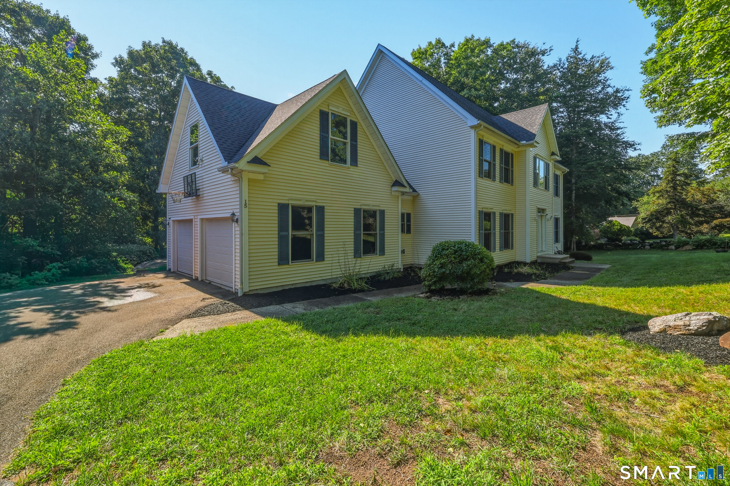 15 Davison Road photo 4