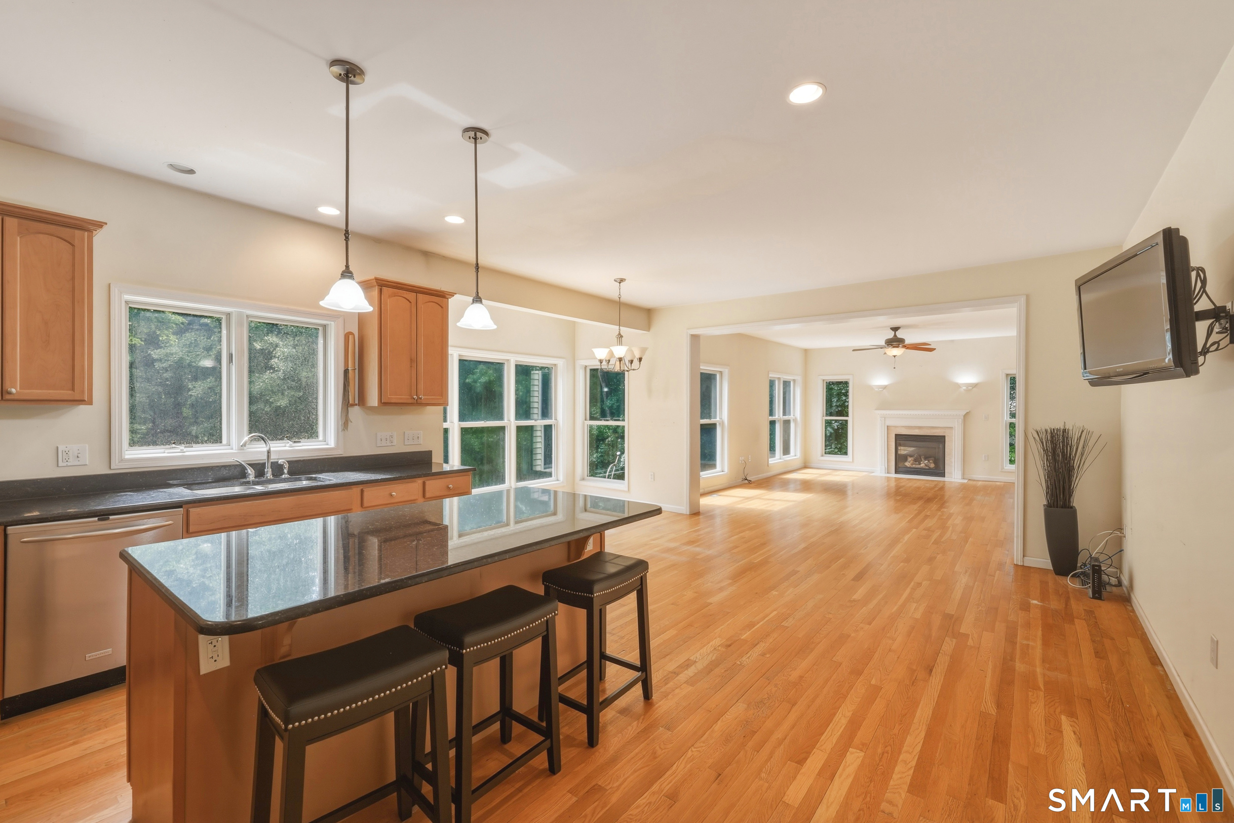 15 Davison Road photo 11