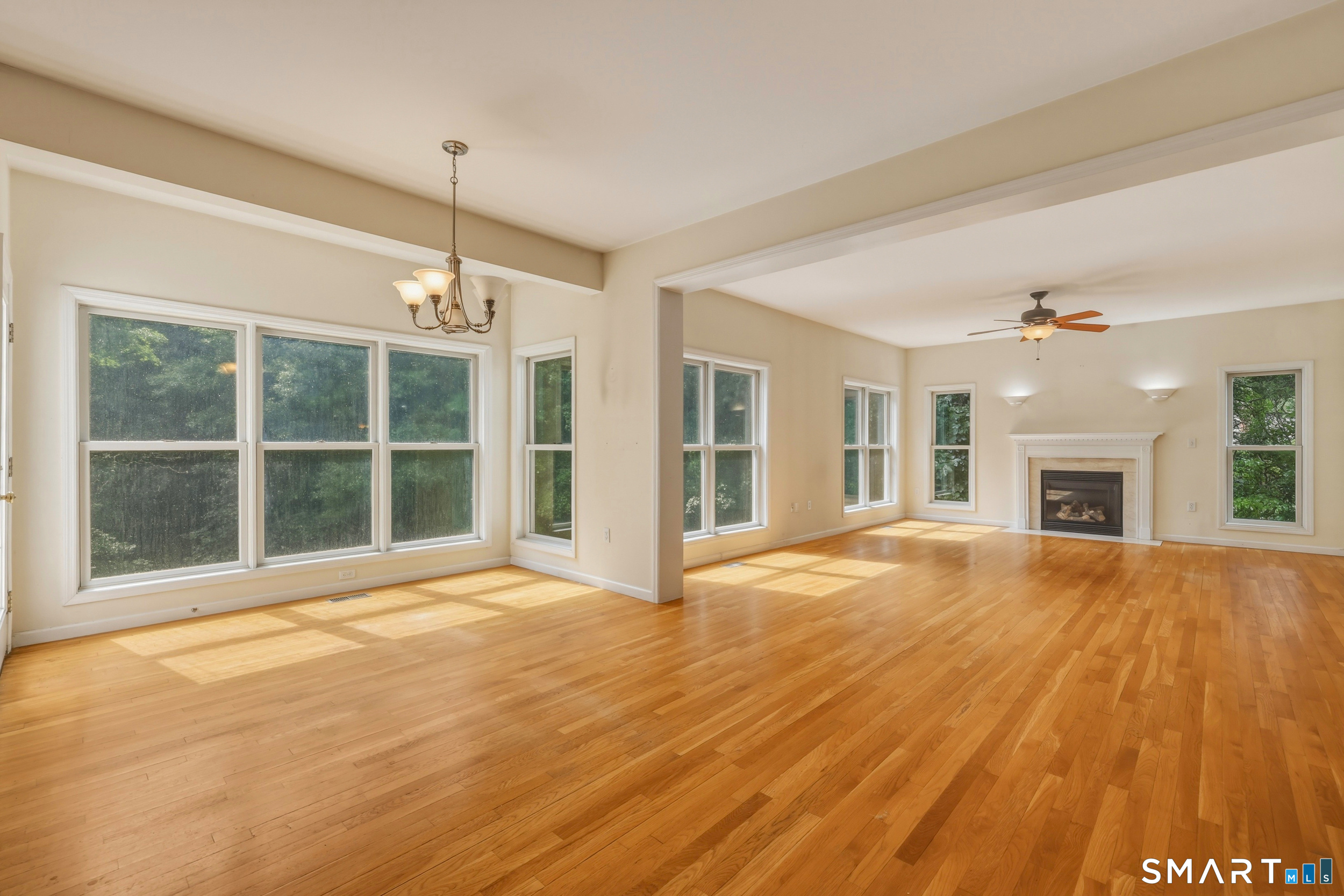 15 Davison Road photo 14