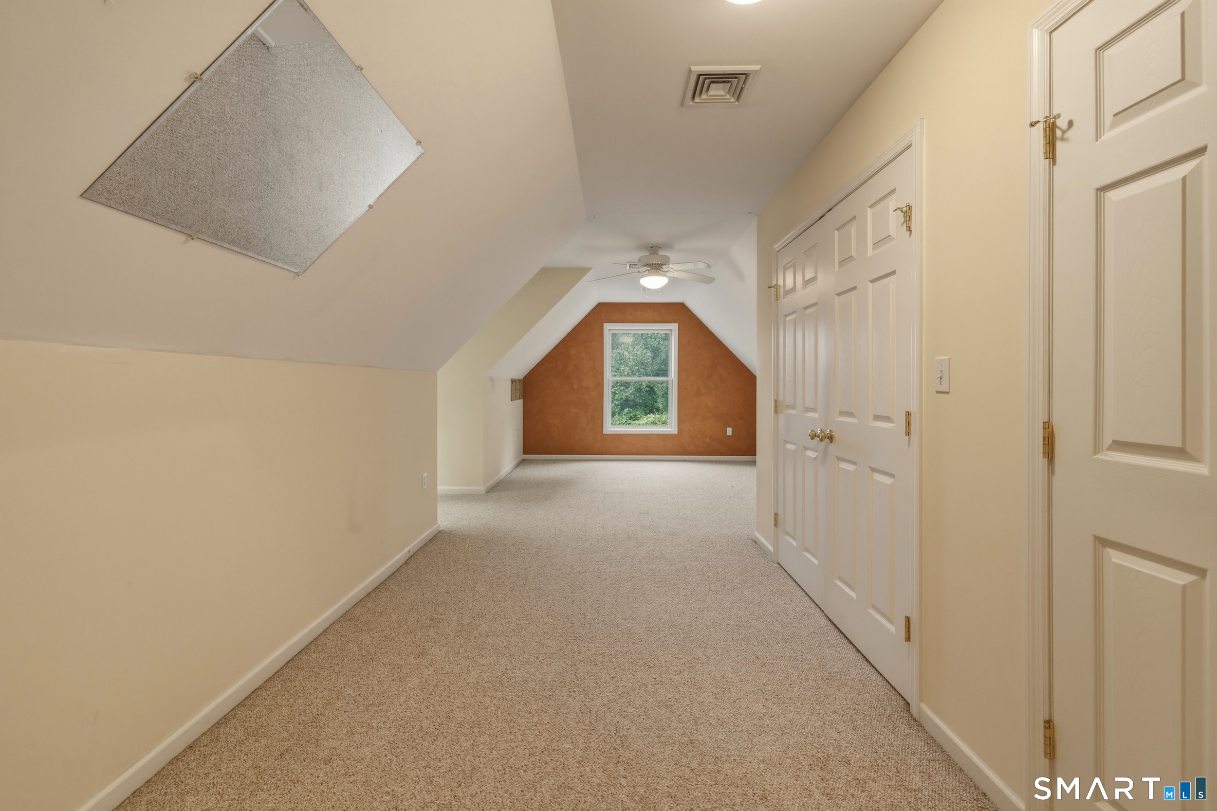 15 Davison Road photo 22