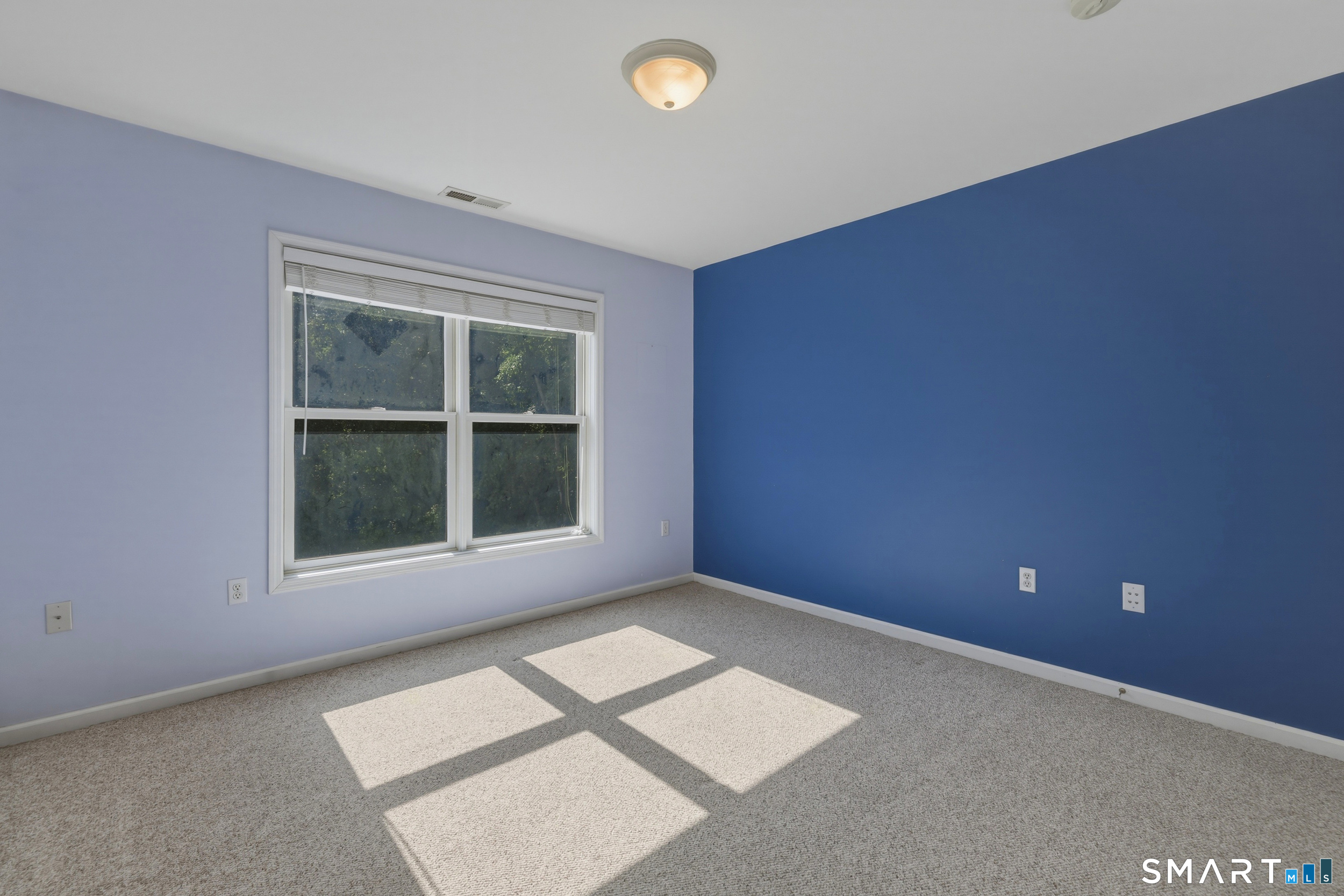 15 Davison Road photo 25