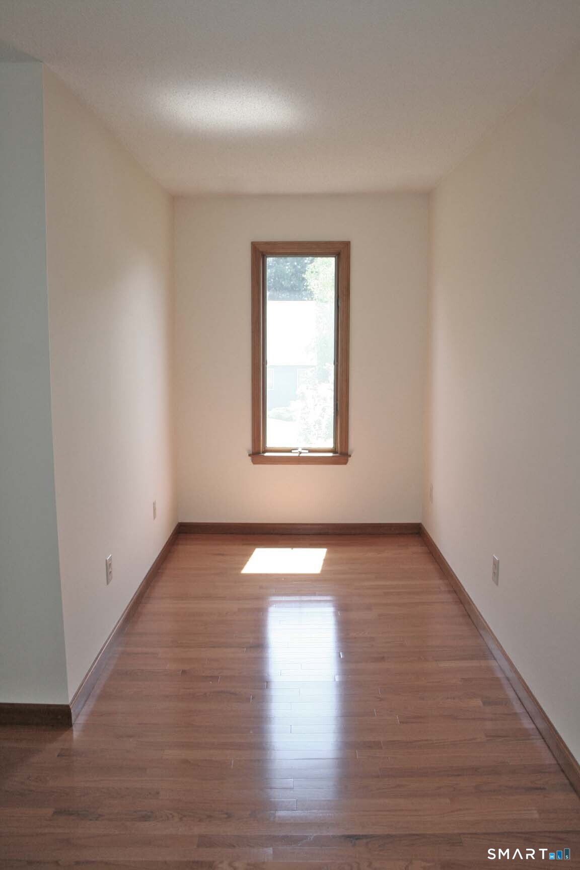 47 Spice Hill Drive photo 19