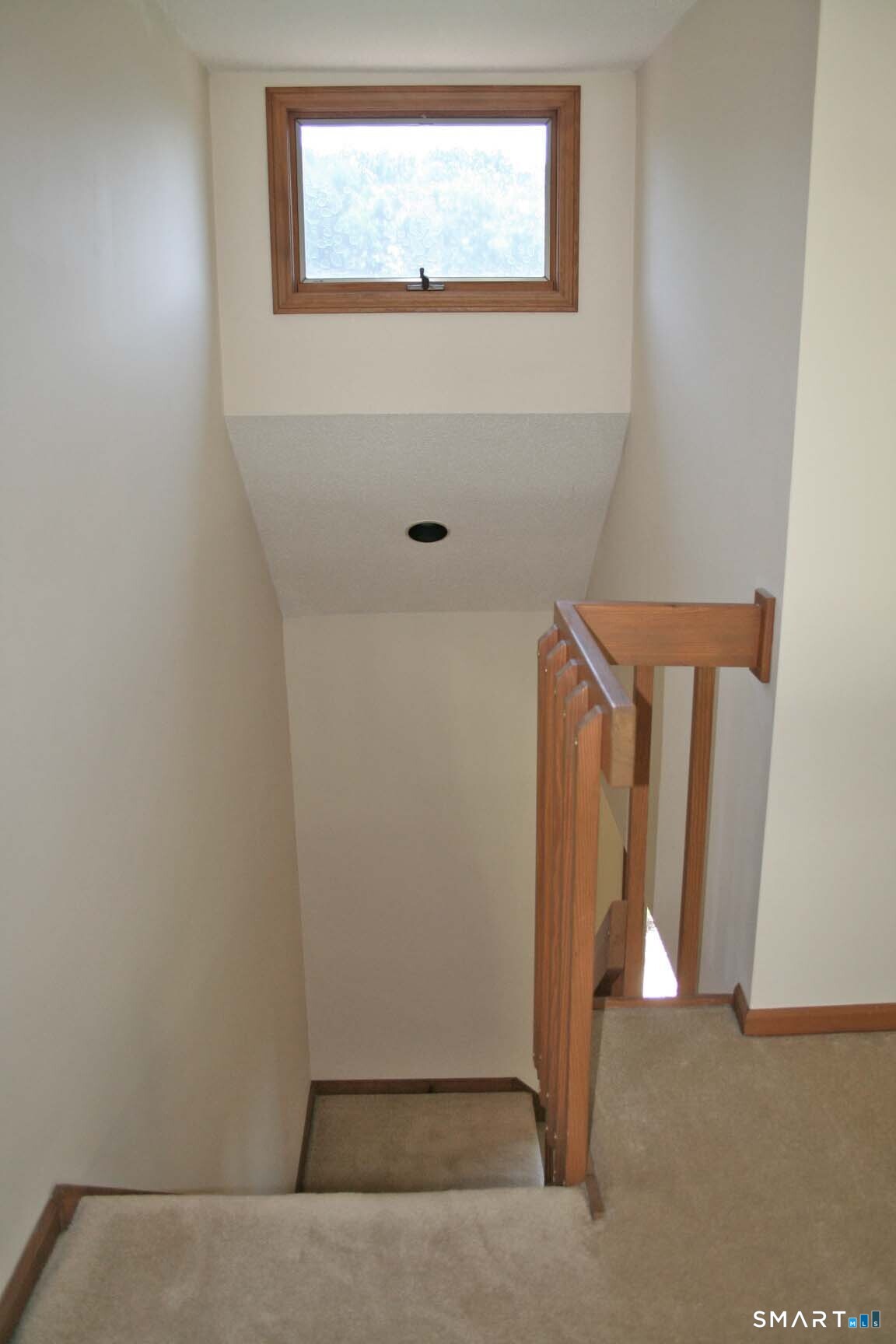 47 Spice Hill Drive photo 22
