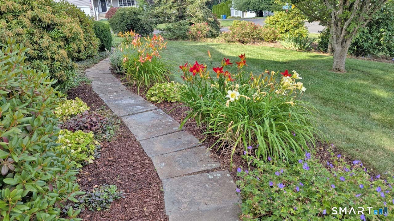 47 Spice Hill Drive photo 38